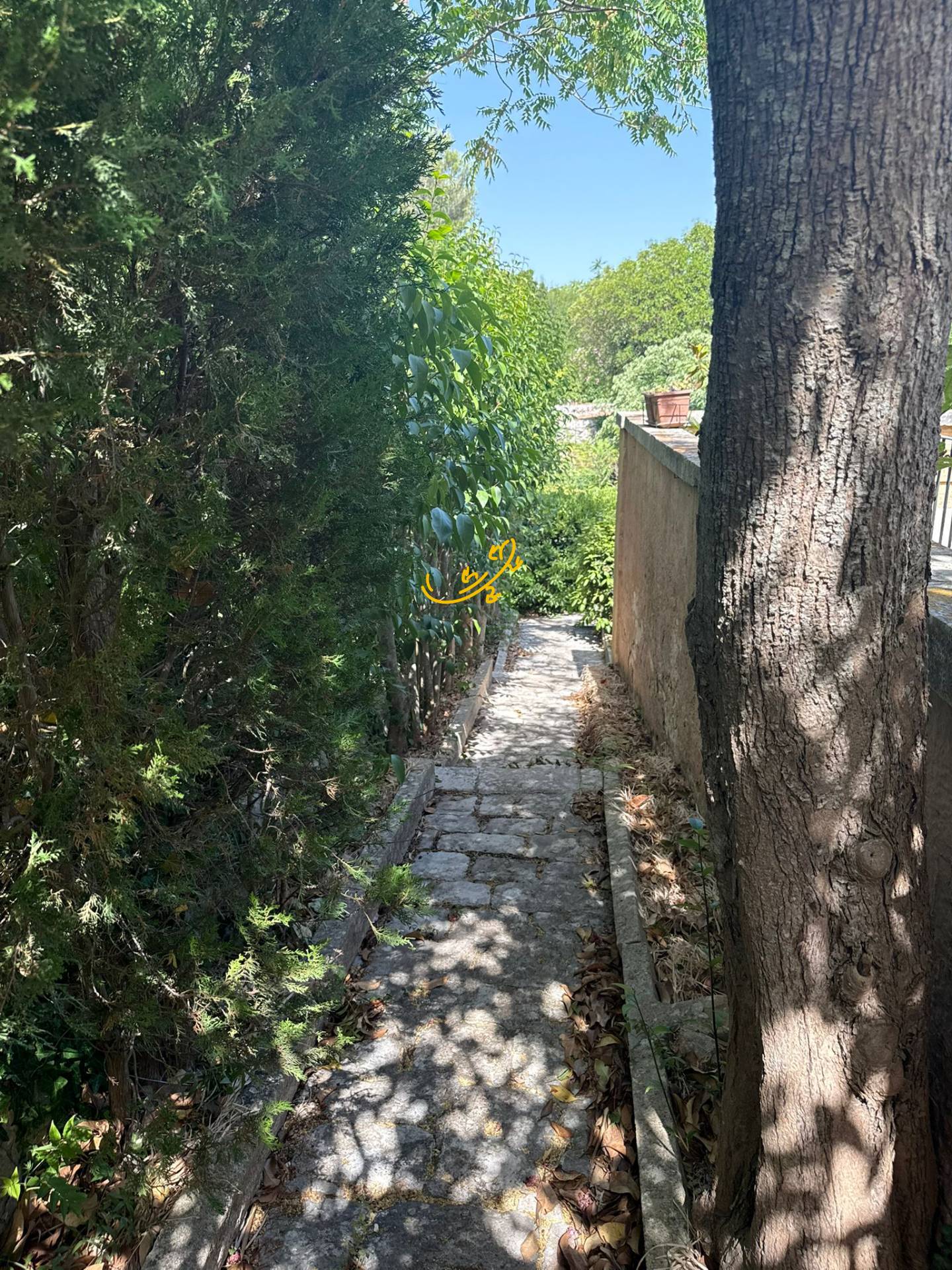 Villa in vendita a Fasano