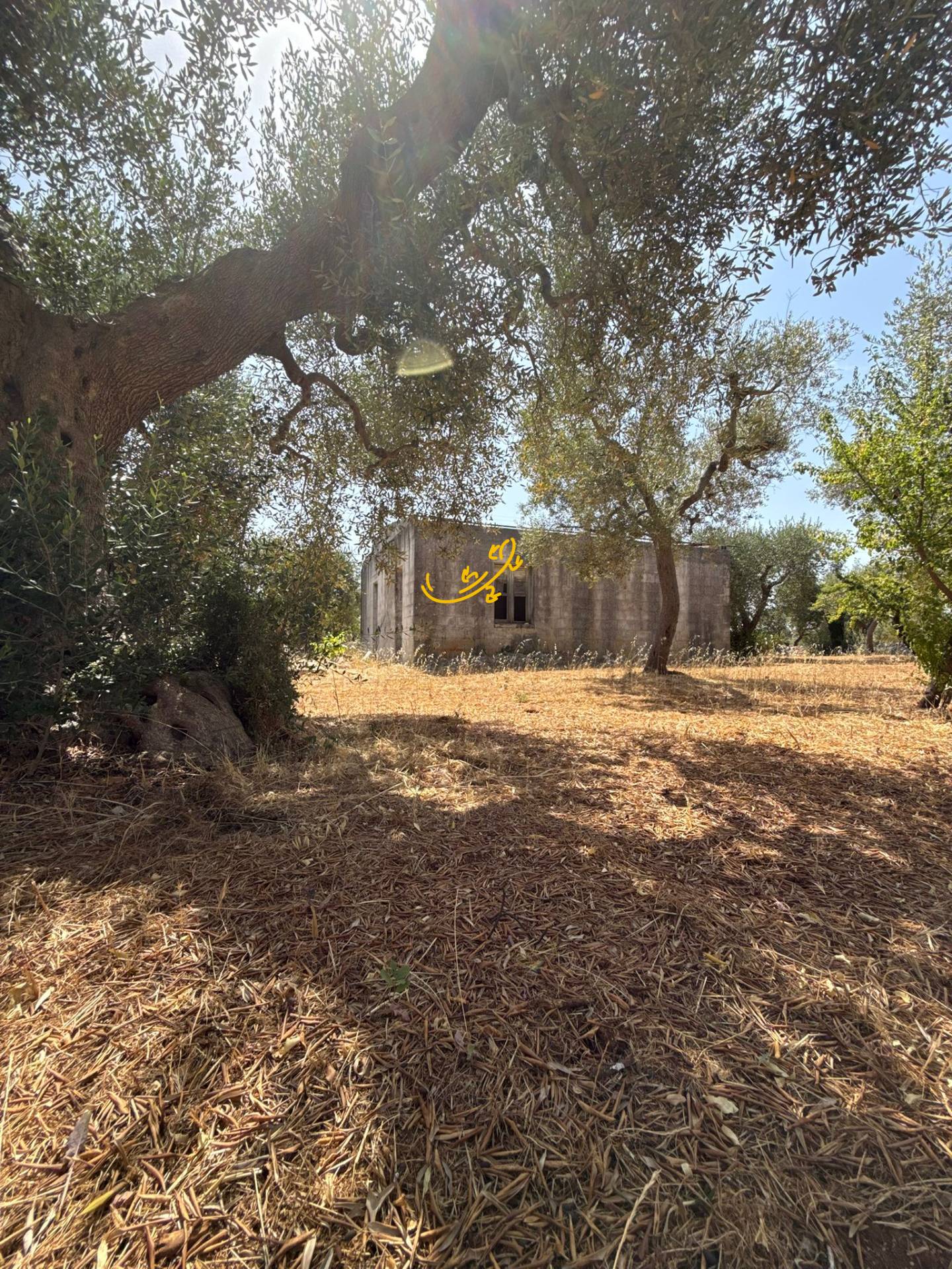 Rustico in vendita a Monopoli