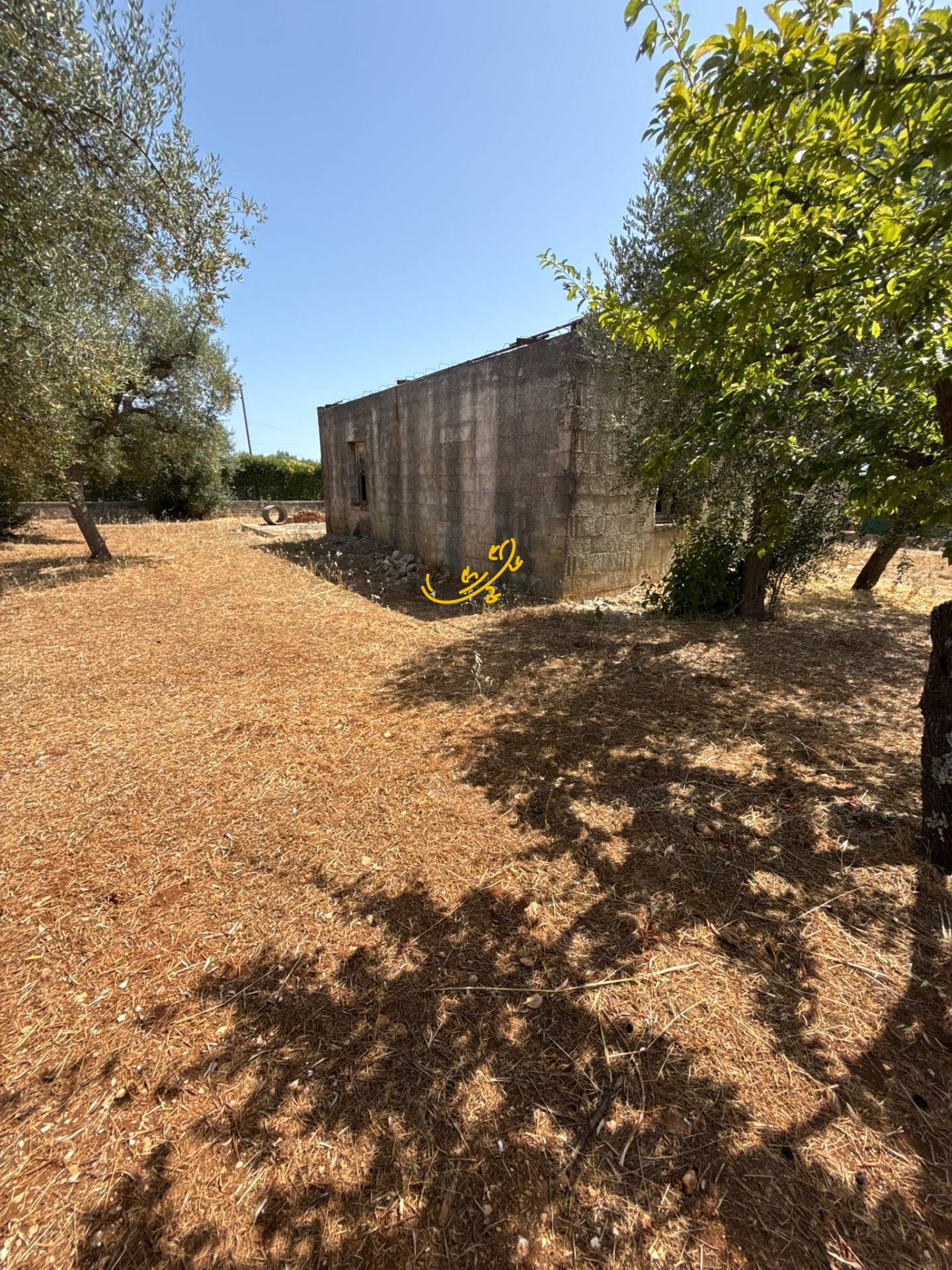 Rustico in vendita a Monopoli