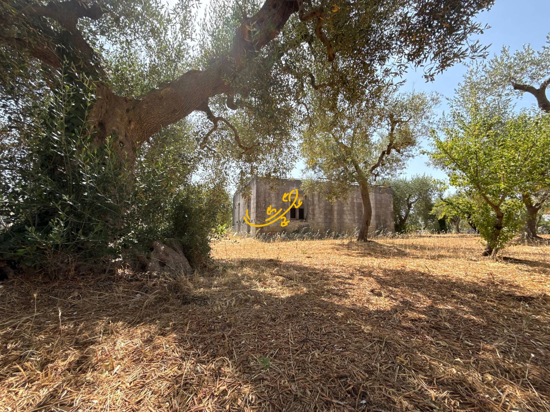 Rustico in vendita a Monopoli