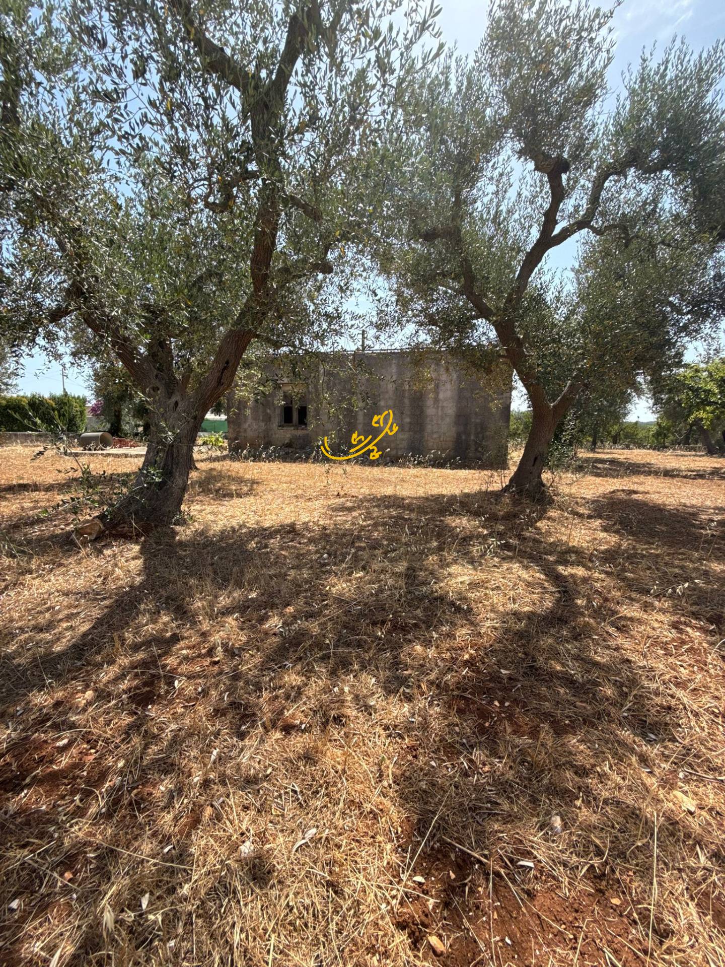 Rustico in vendita a Monopoli