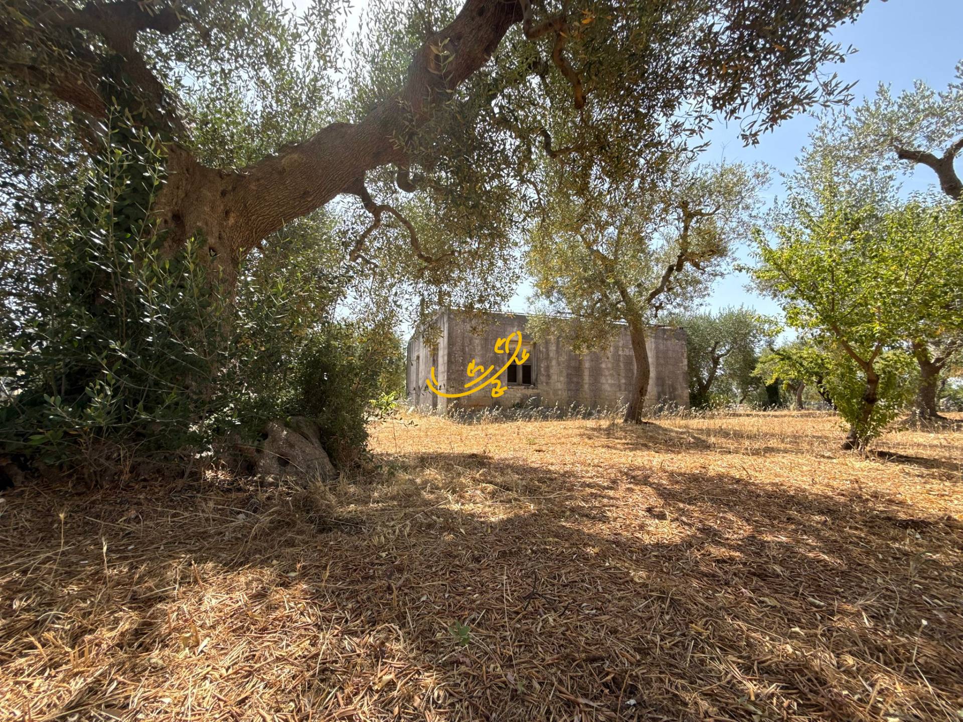 Rustico in vendita a Monopoli