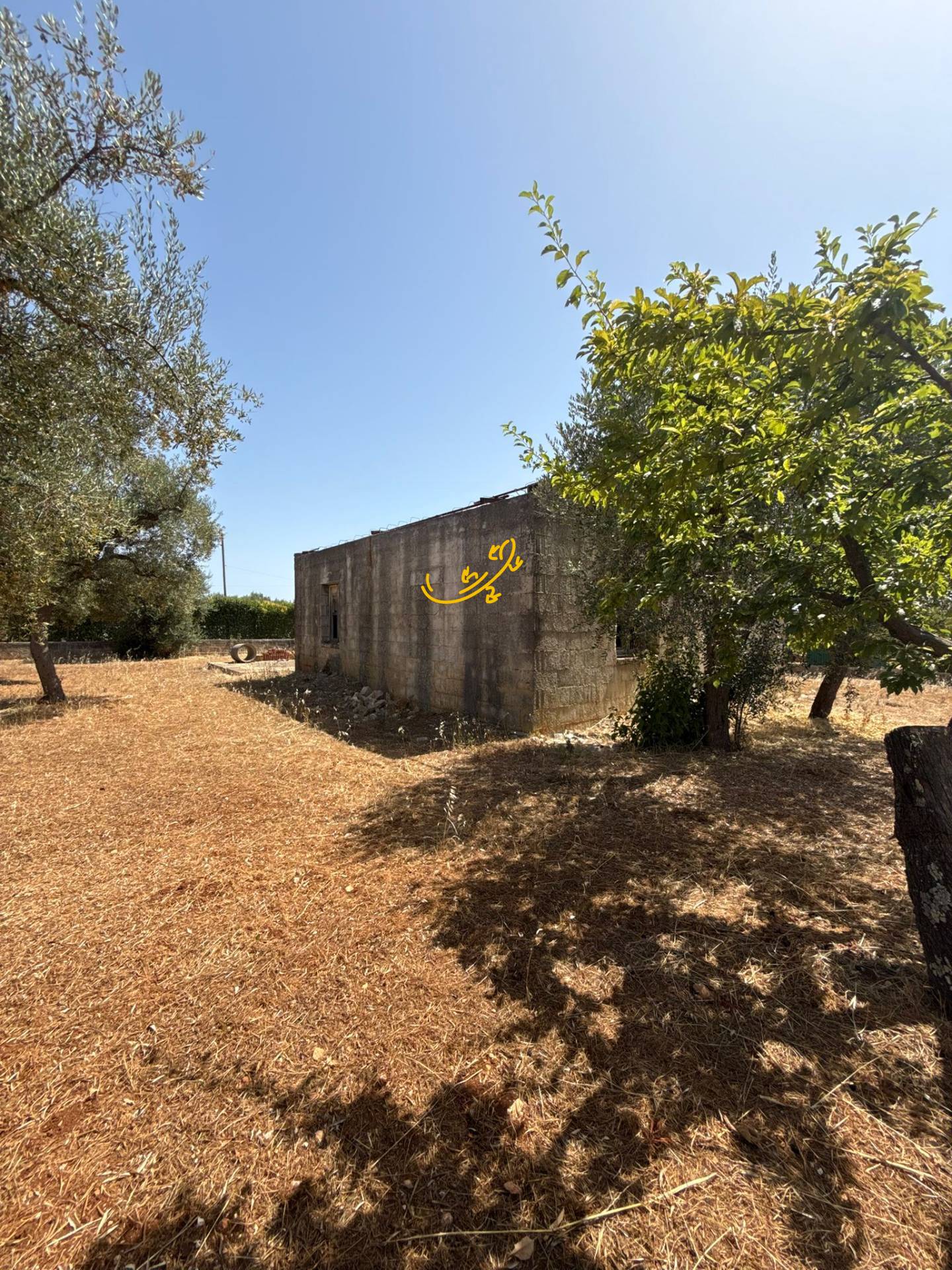 Rustico in vendita a Monopoli