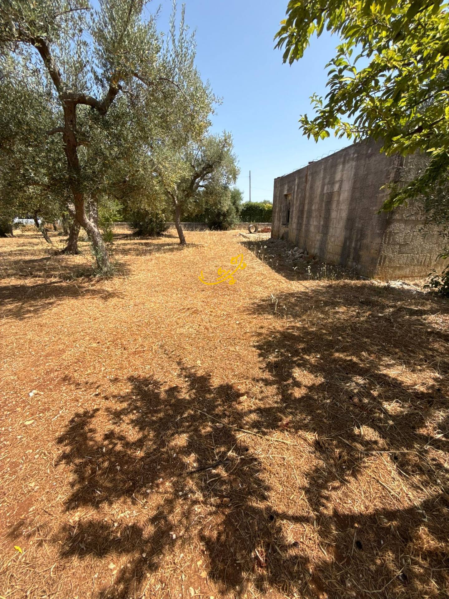 Rustico in vendita a Monopoli