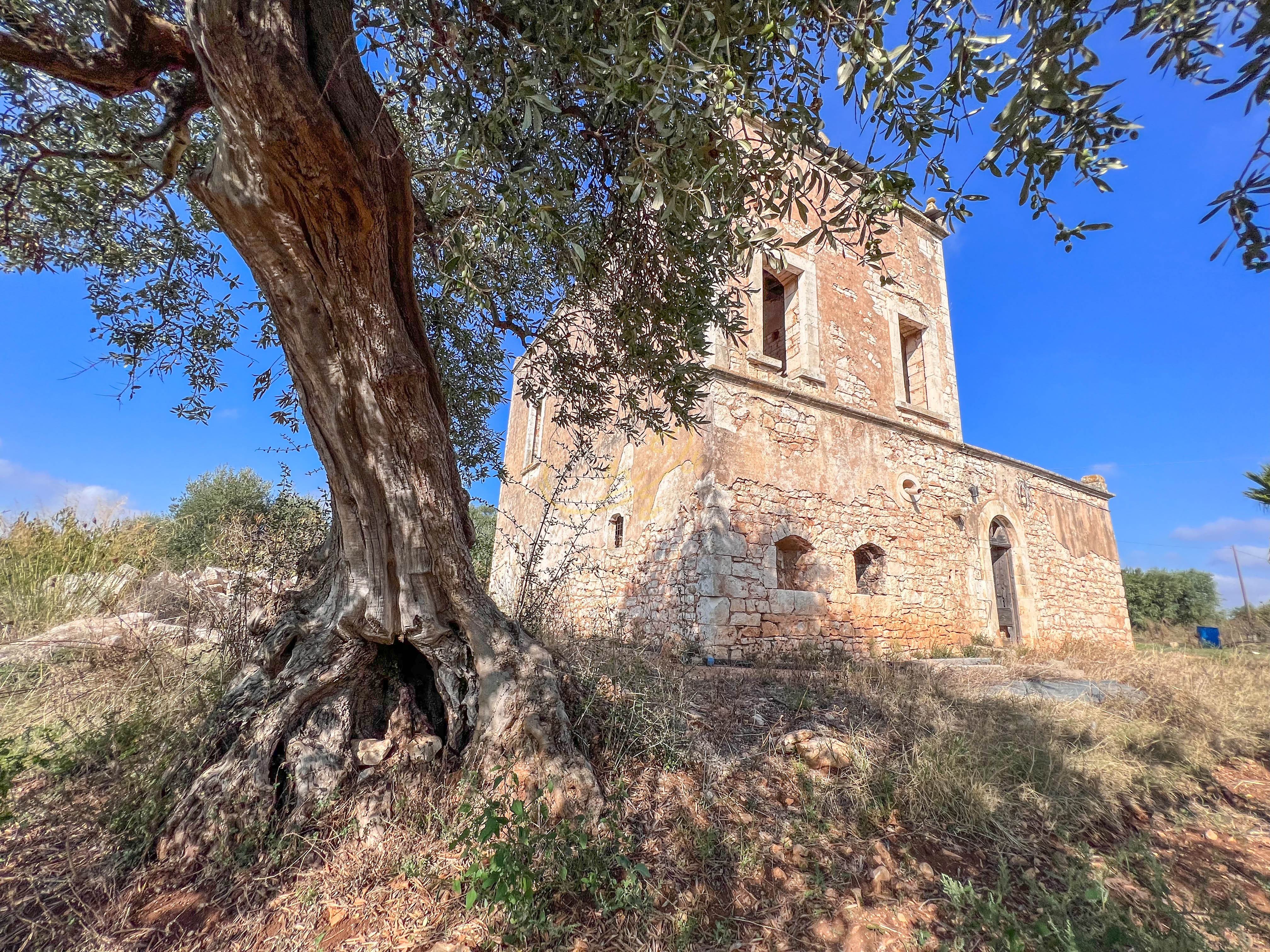 Rustico in vendita a Conversano