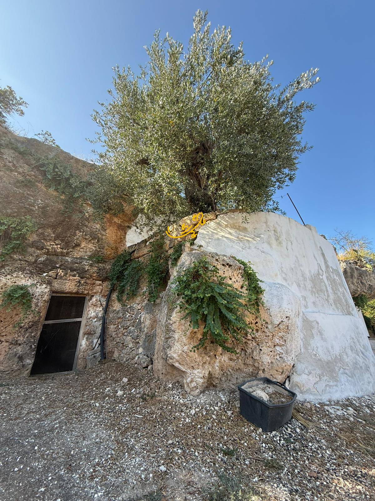 Abitazione in pietra in vendita a Monopoli