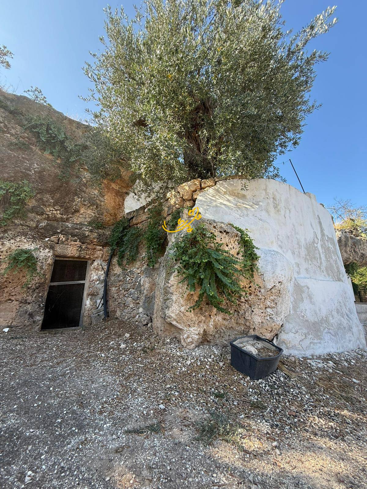 Abitazione in pietra in vendita a Monopoli