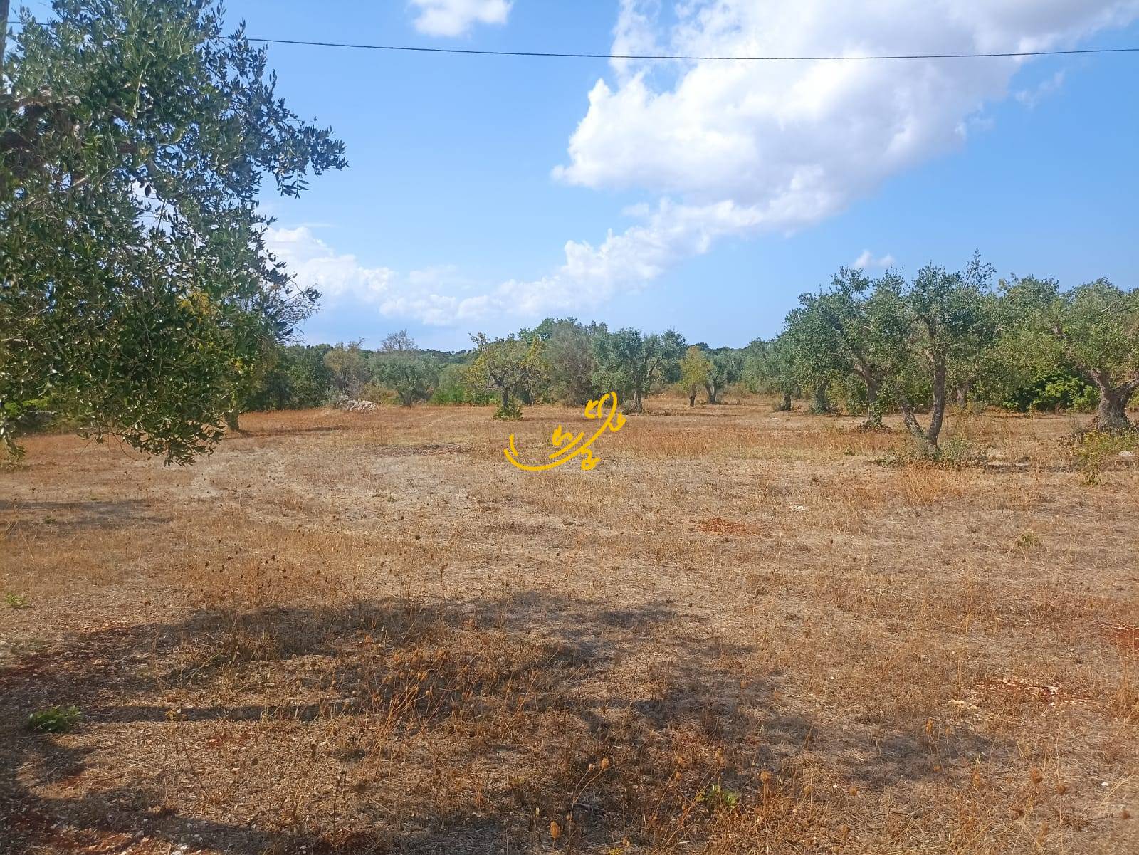 Trullo in vendita a Ceglie Messapica