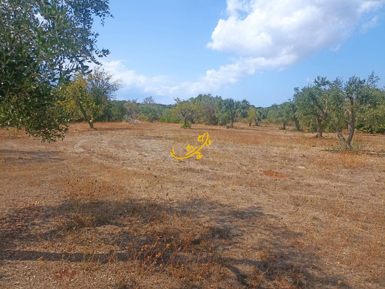 Trullo in vendita a Ceglie Messapica