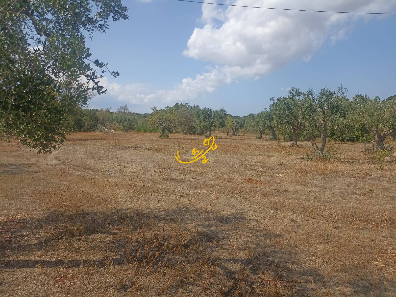 Trullo in vendita a Ceglie Messapica