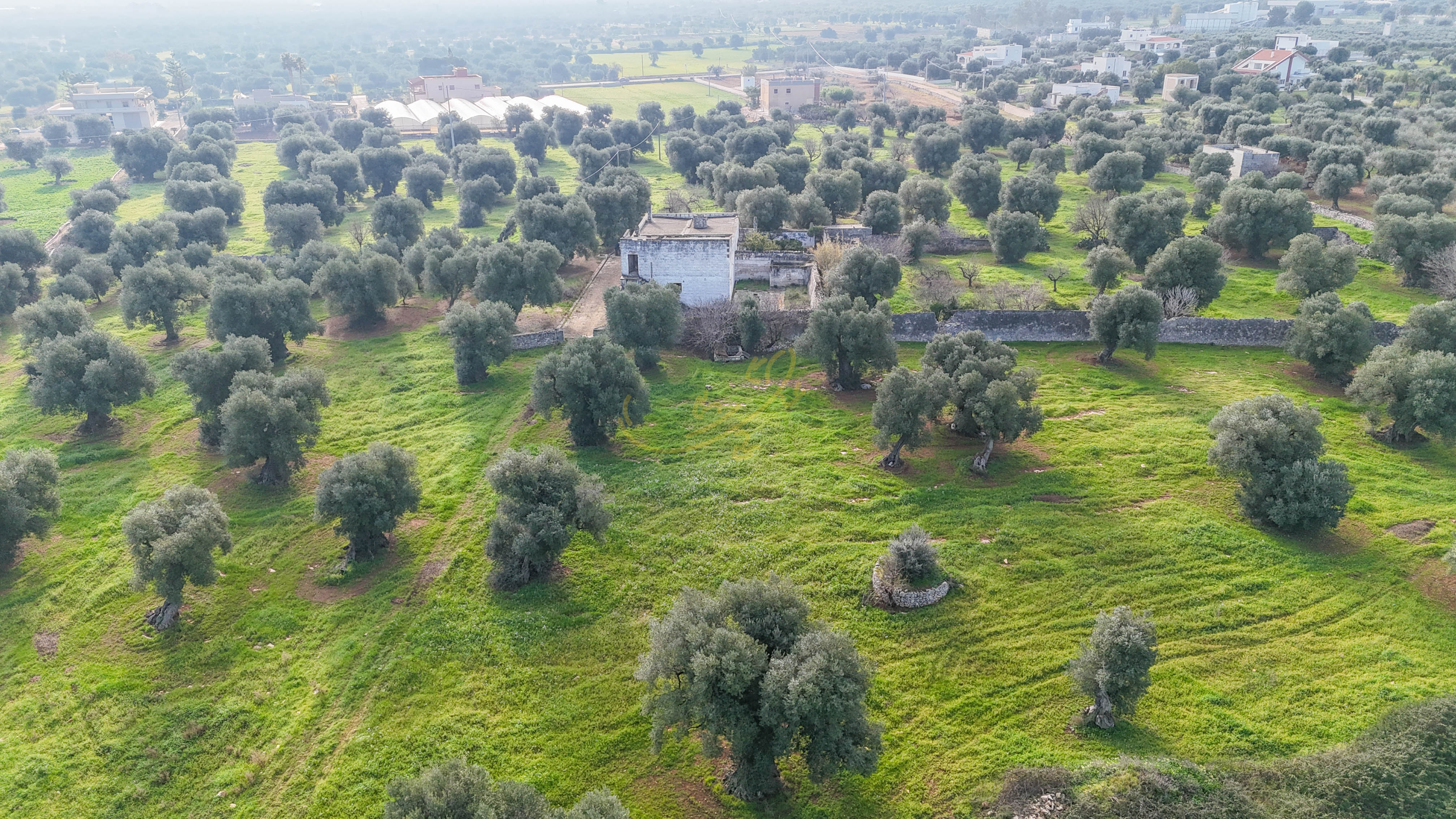 Rustico in vendita a Monopoli