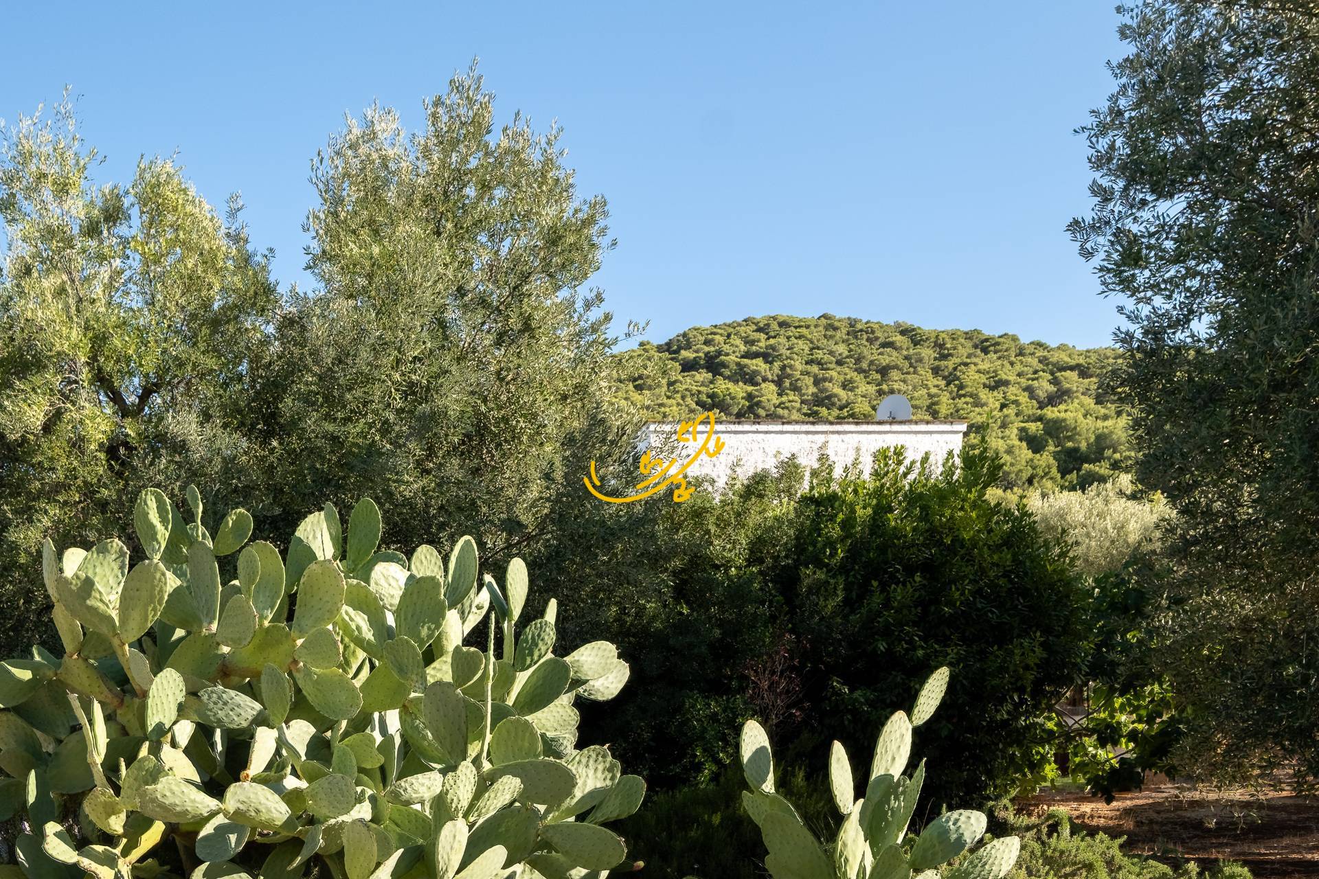 Casale in vendita a Fasano