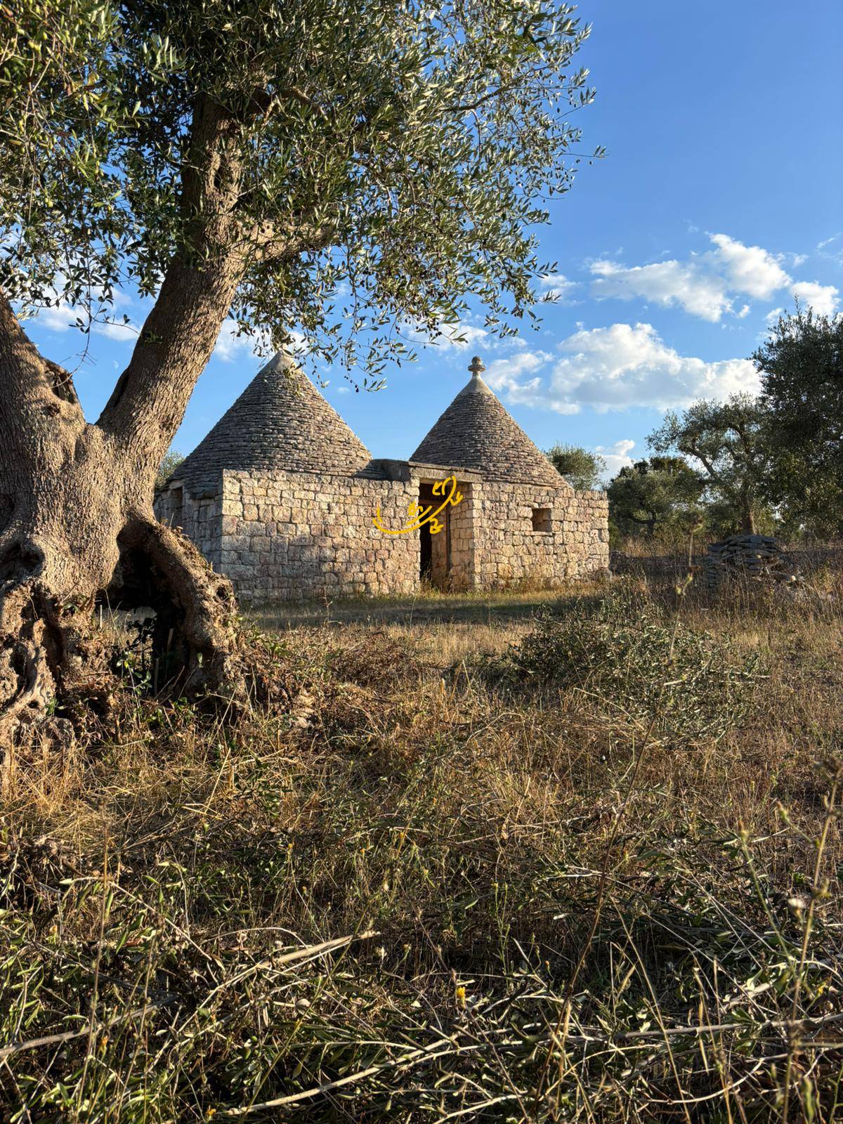 Trullo in vendita a Alberobello