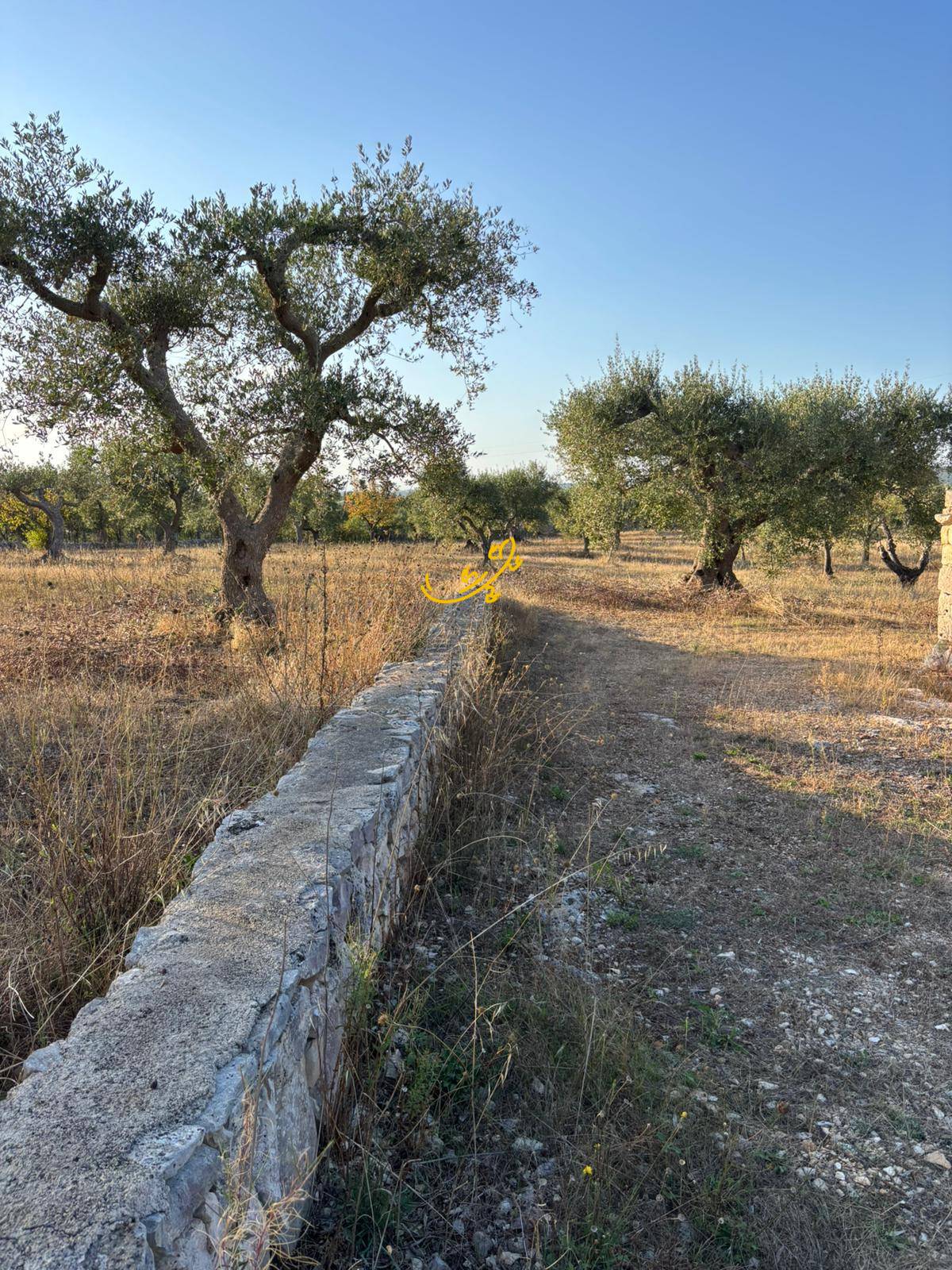 Trullo in vendita a Alberobello