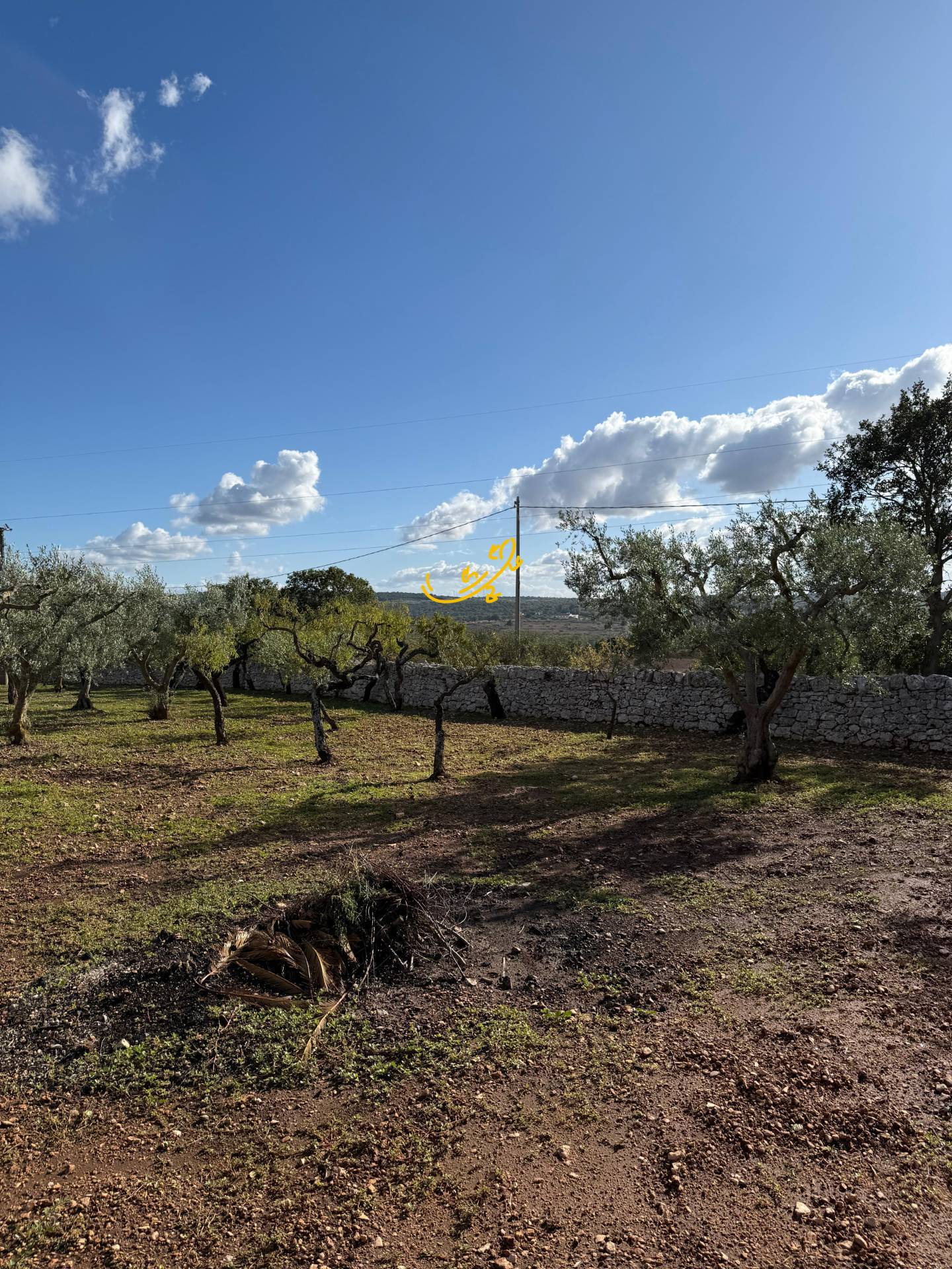 Casale in vendita a Castellana Grotte