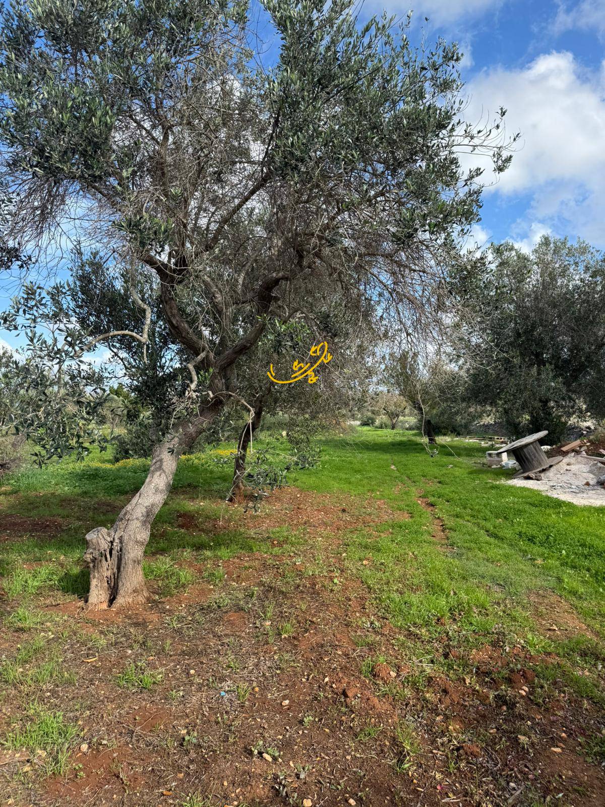 Trullo in vendita a Ostuni