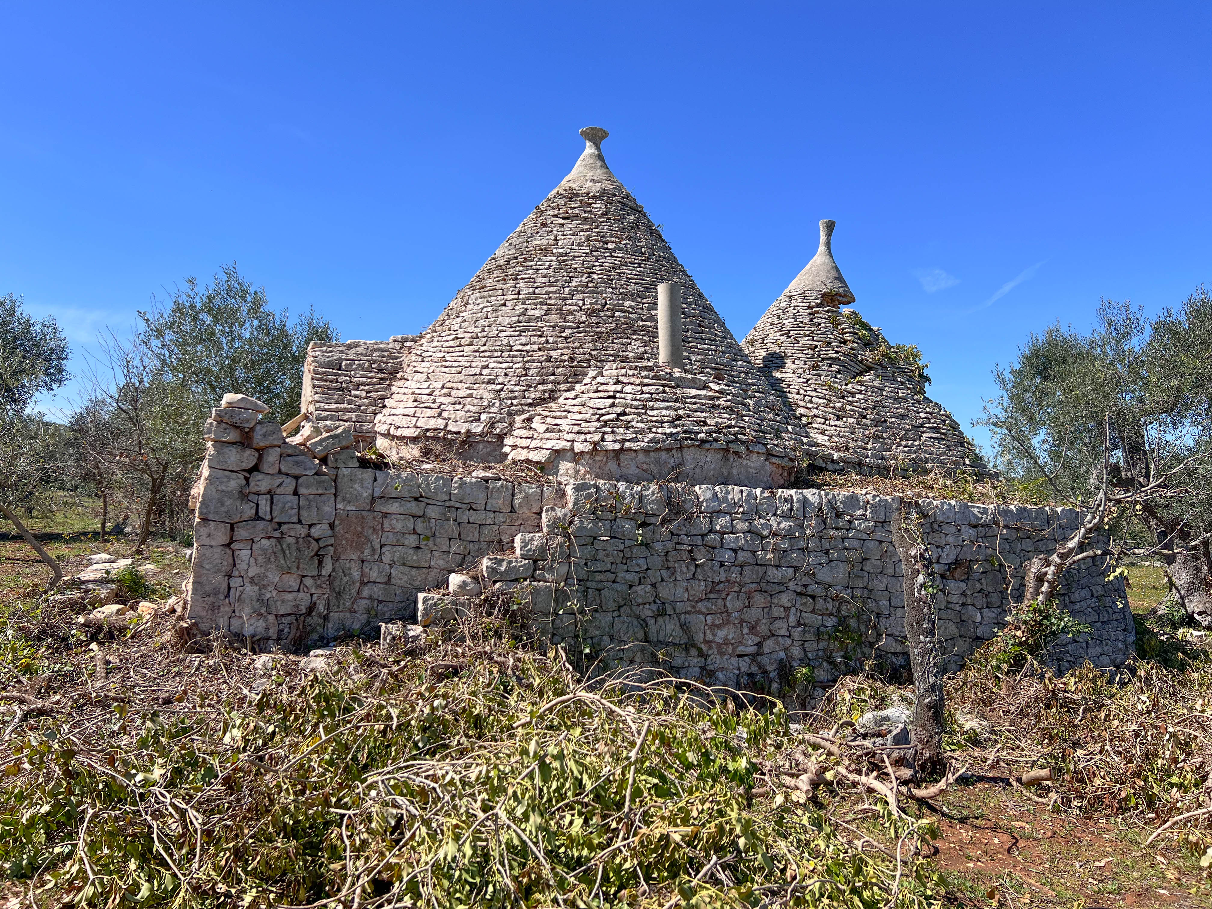 Rustico in vendita a Castellana Grotte