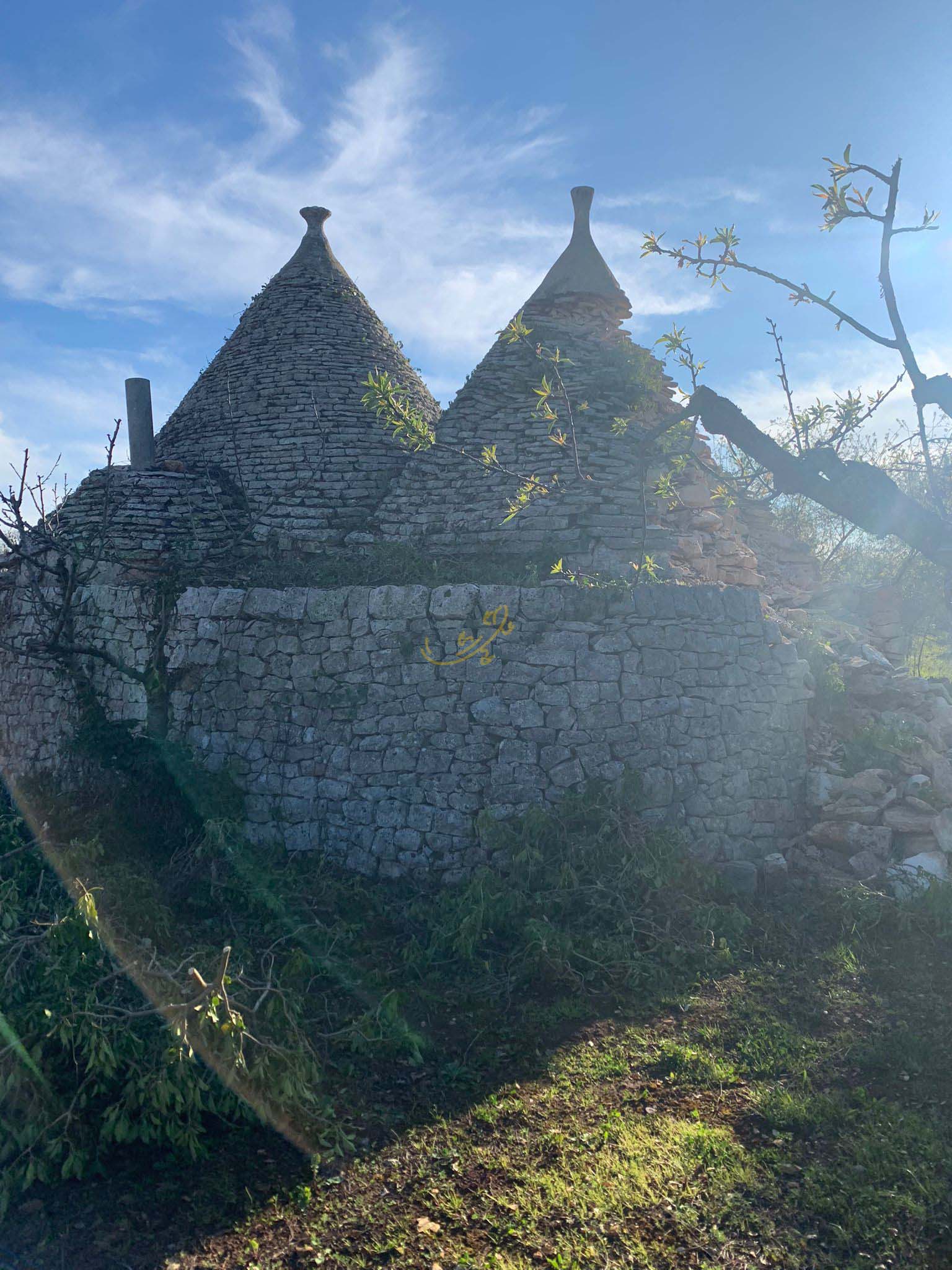 Rustico in vendita a Castellana Grotte