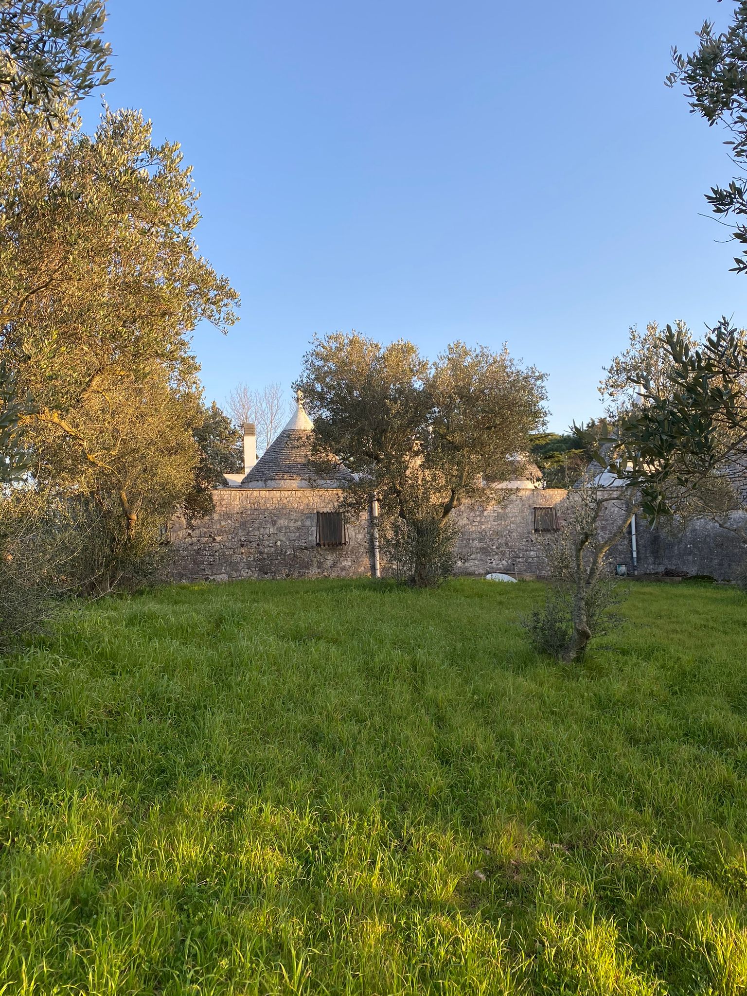 Trullo in vendita a Locorotondo