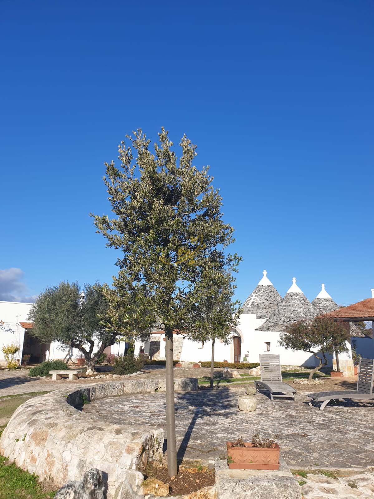 Trullo in vendita a Noci