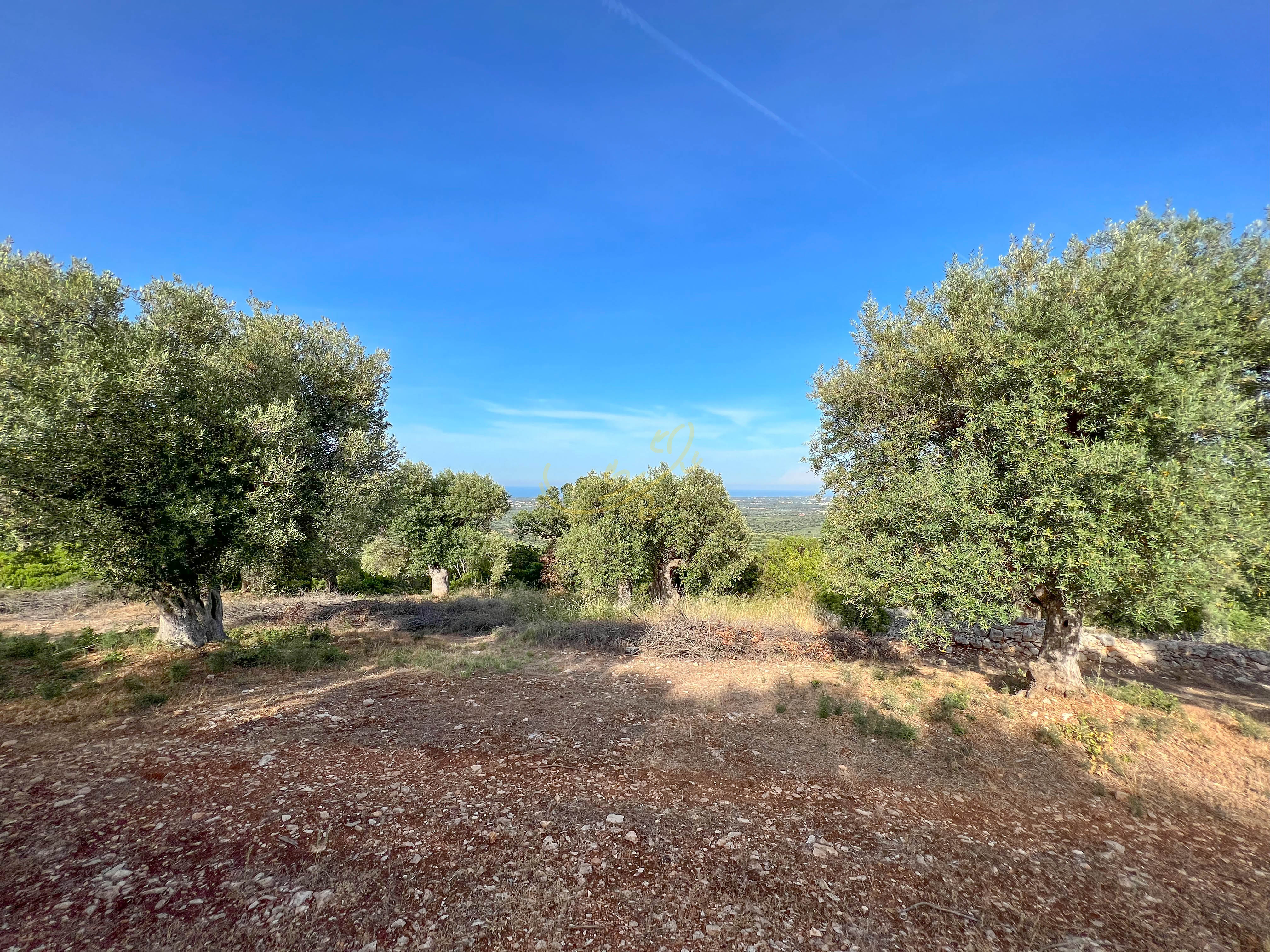 Trullo in vendita a Monopoli