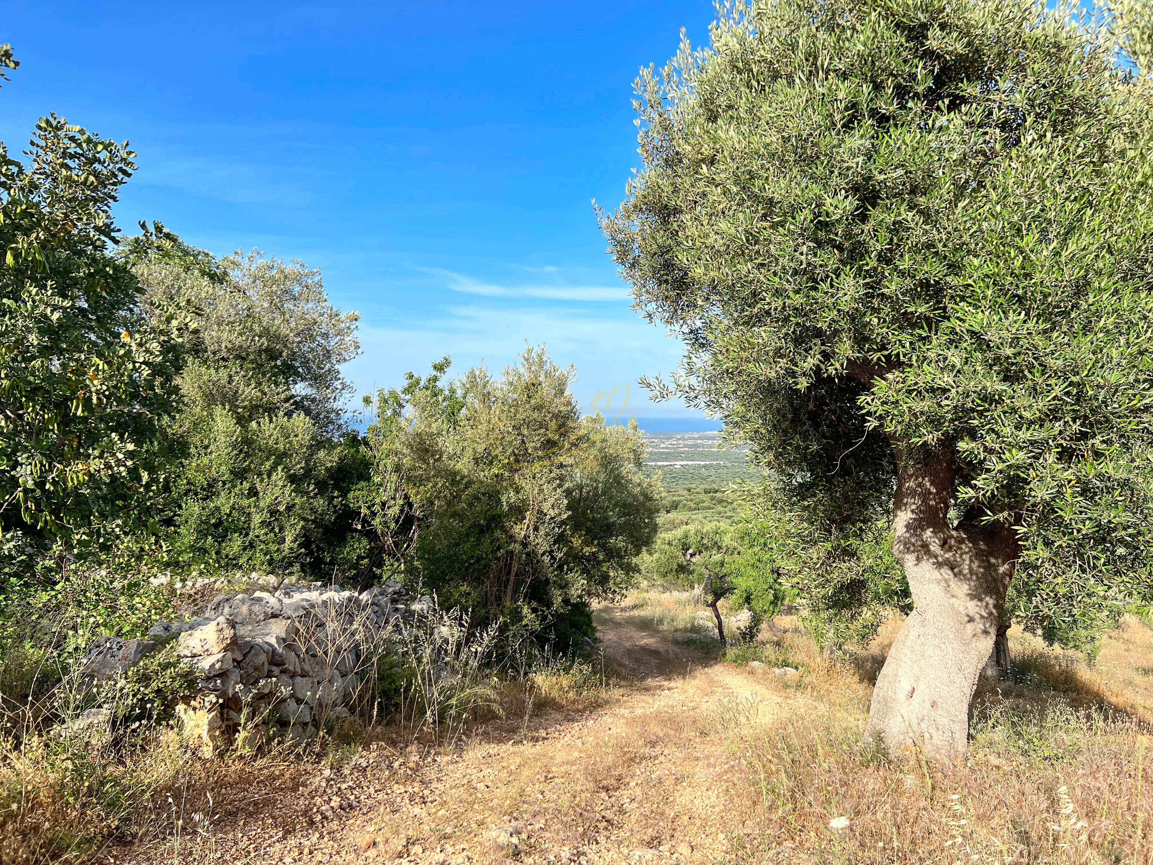 Trullo in vendita a Monopoli