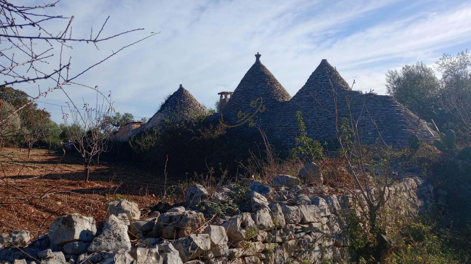 Trullo in vendita a Castellana Grotte