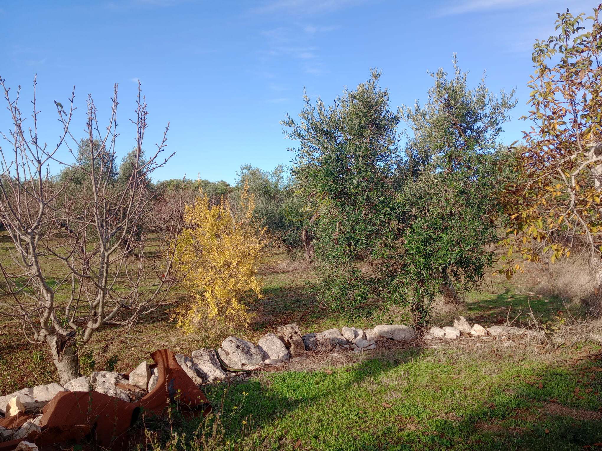 Trullo in vendita a Castellana Grotte