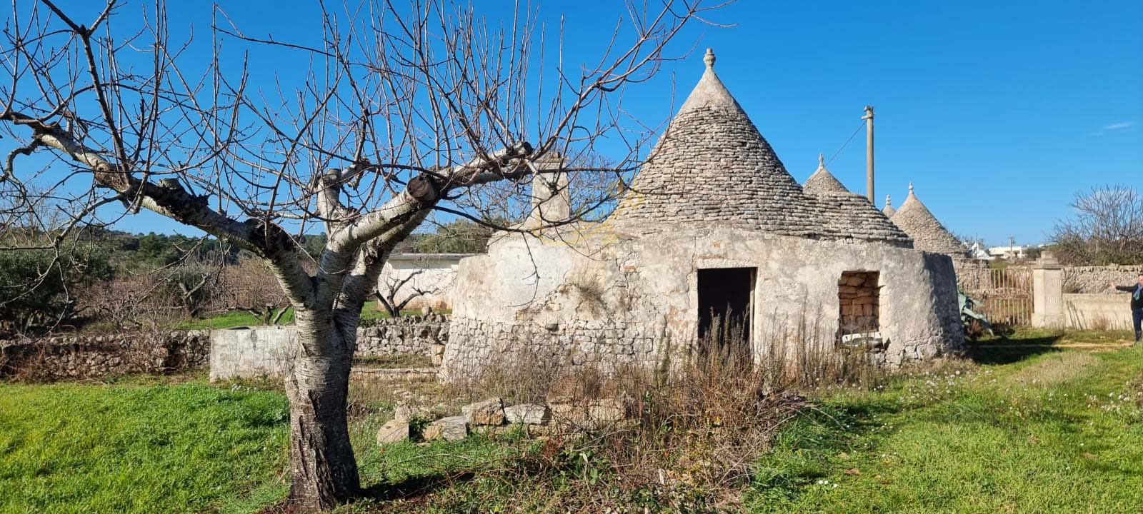 Trullo in vendita a Martina Franca