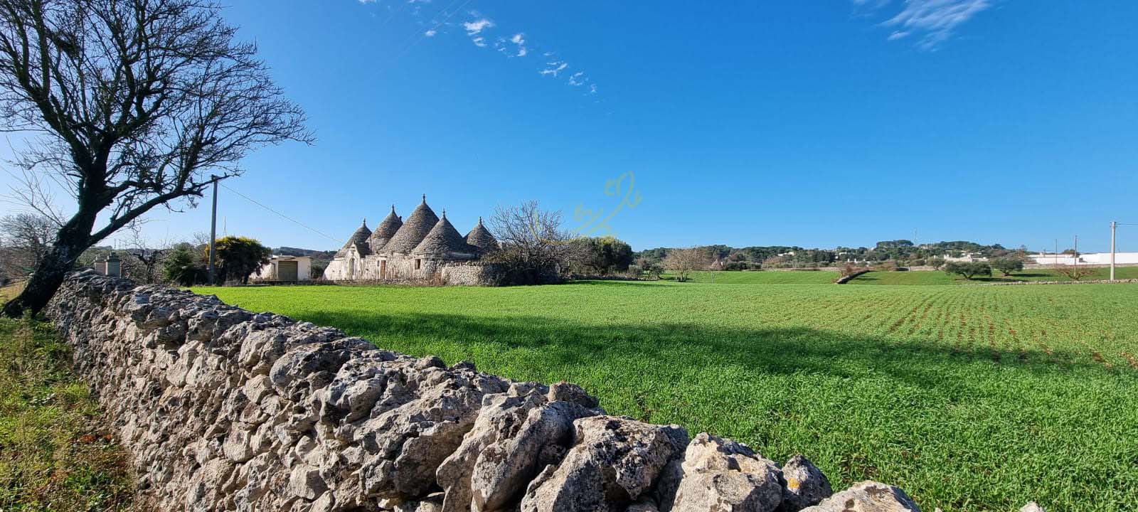 Trullo in vendita a Martina Franca