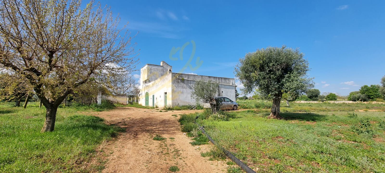 Rustico in vendita a Polignano a Mare