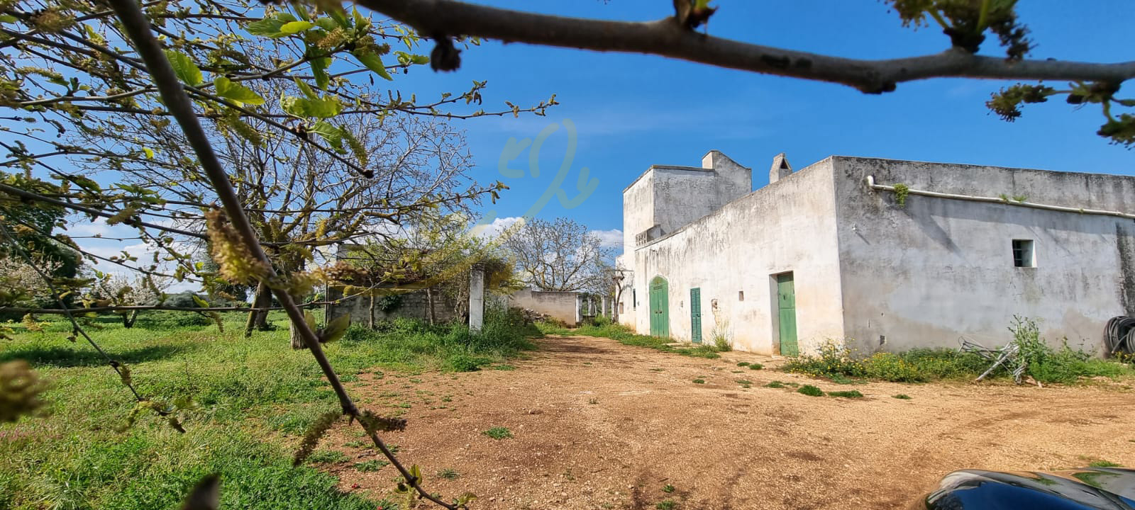 Rustico in vendita a Polignano a Mare