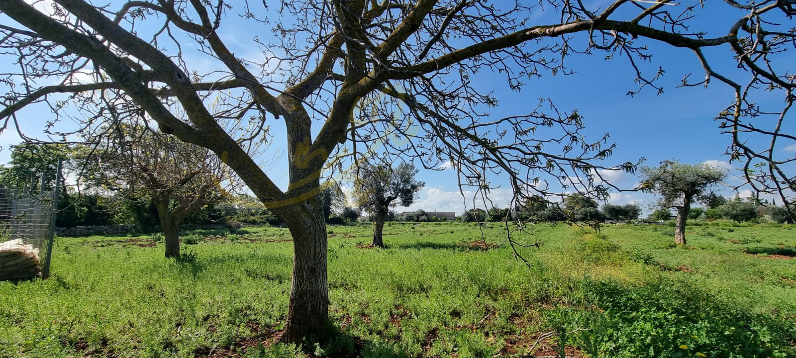Rustico in vendita a Polignano a Mare