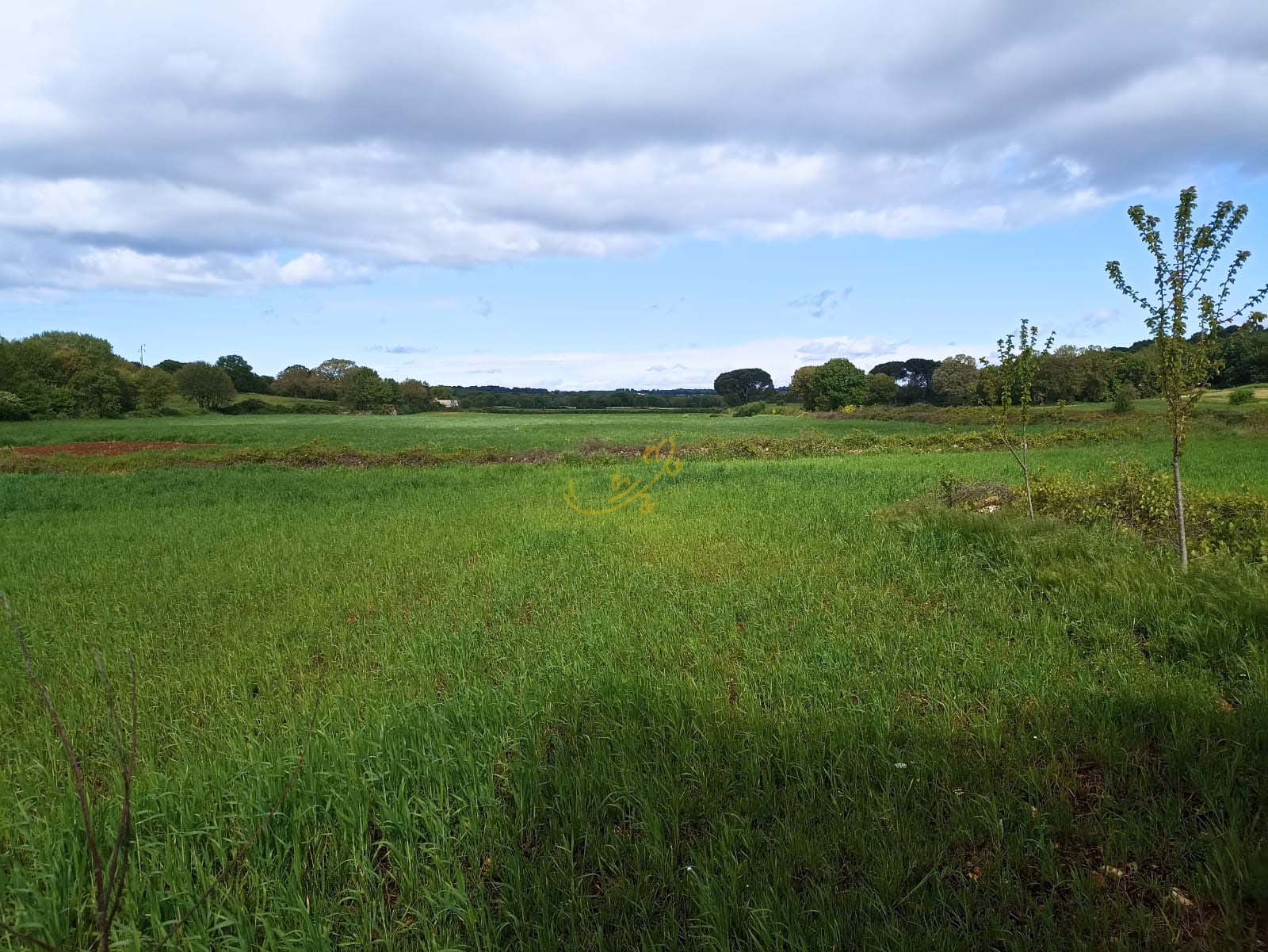 Trullo in vendita a Martina Franca
