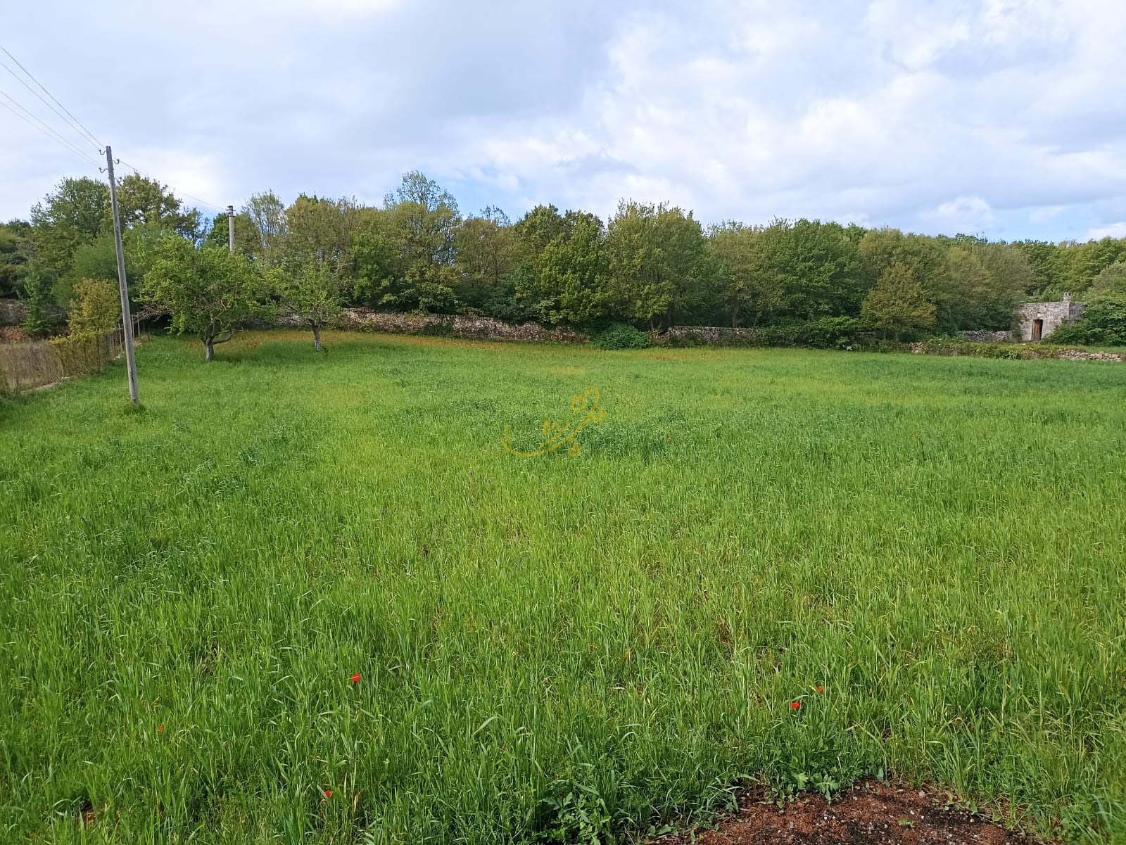 Trullo in vendita a Martina Franca