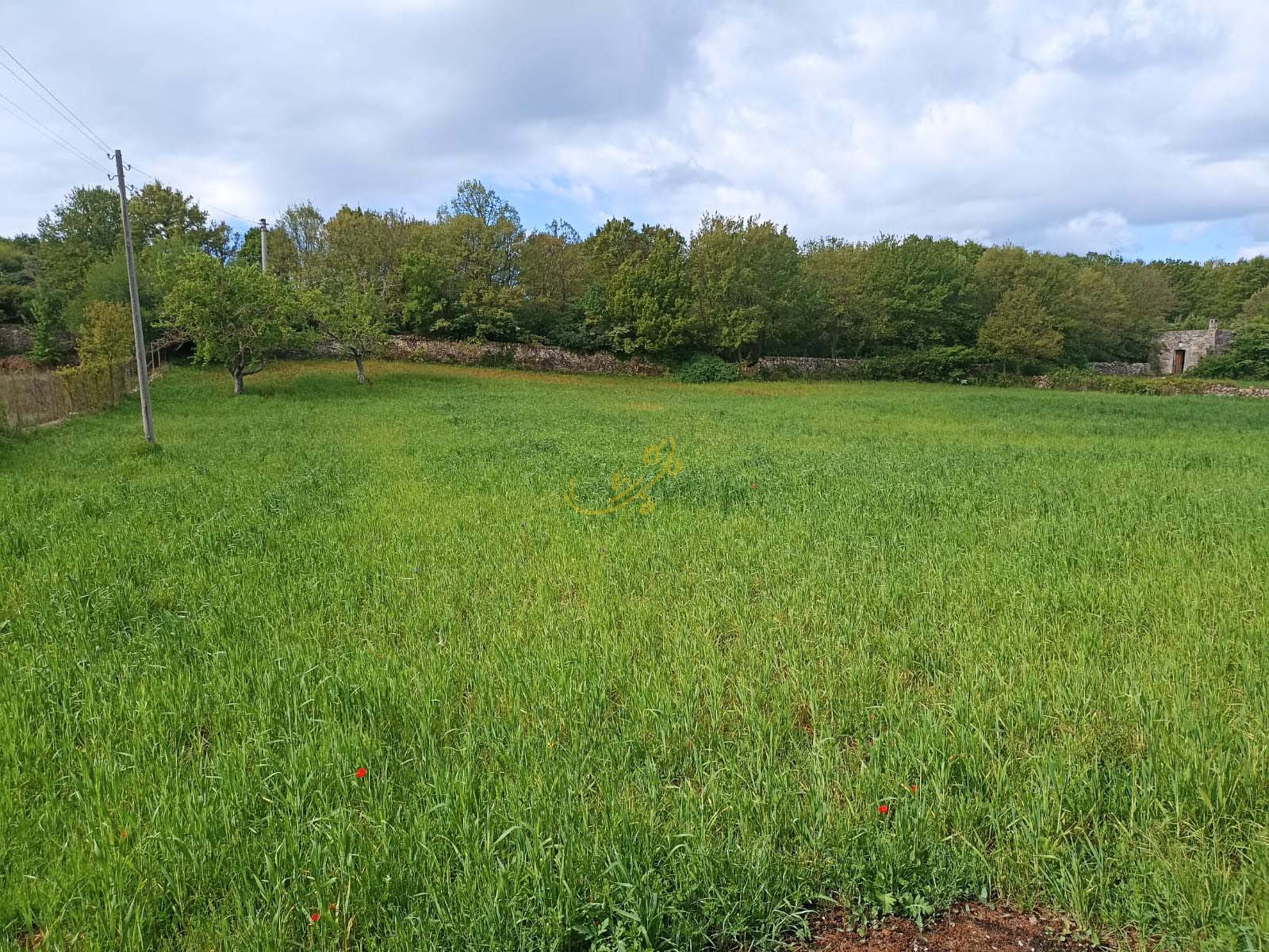Trullo in vendita a Martina Franca