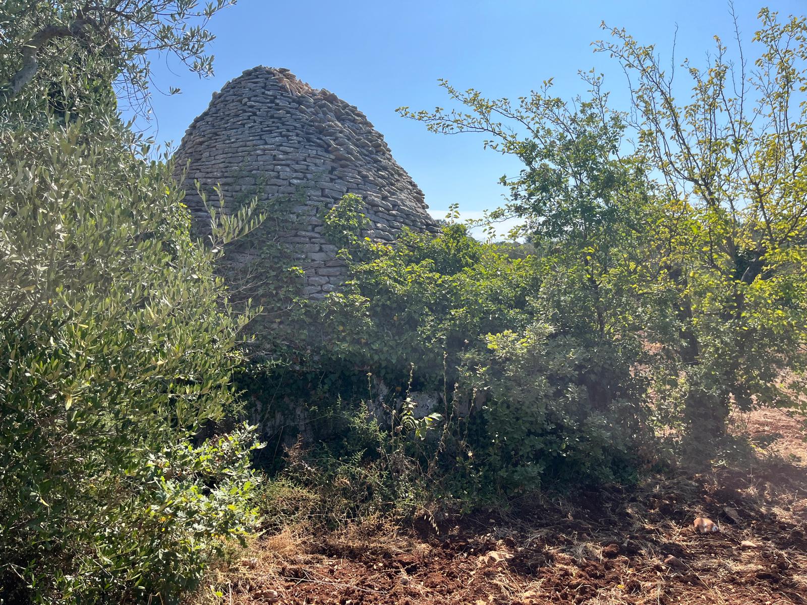 Trullo in vendita a Castellana Grotte