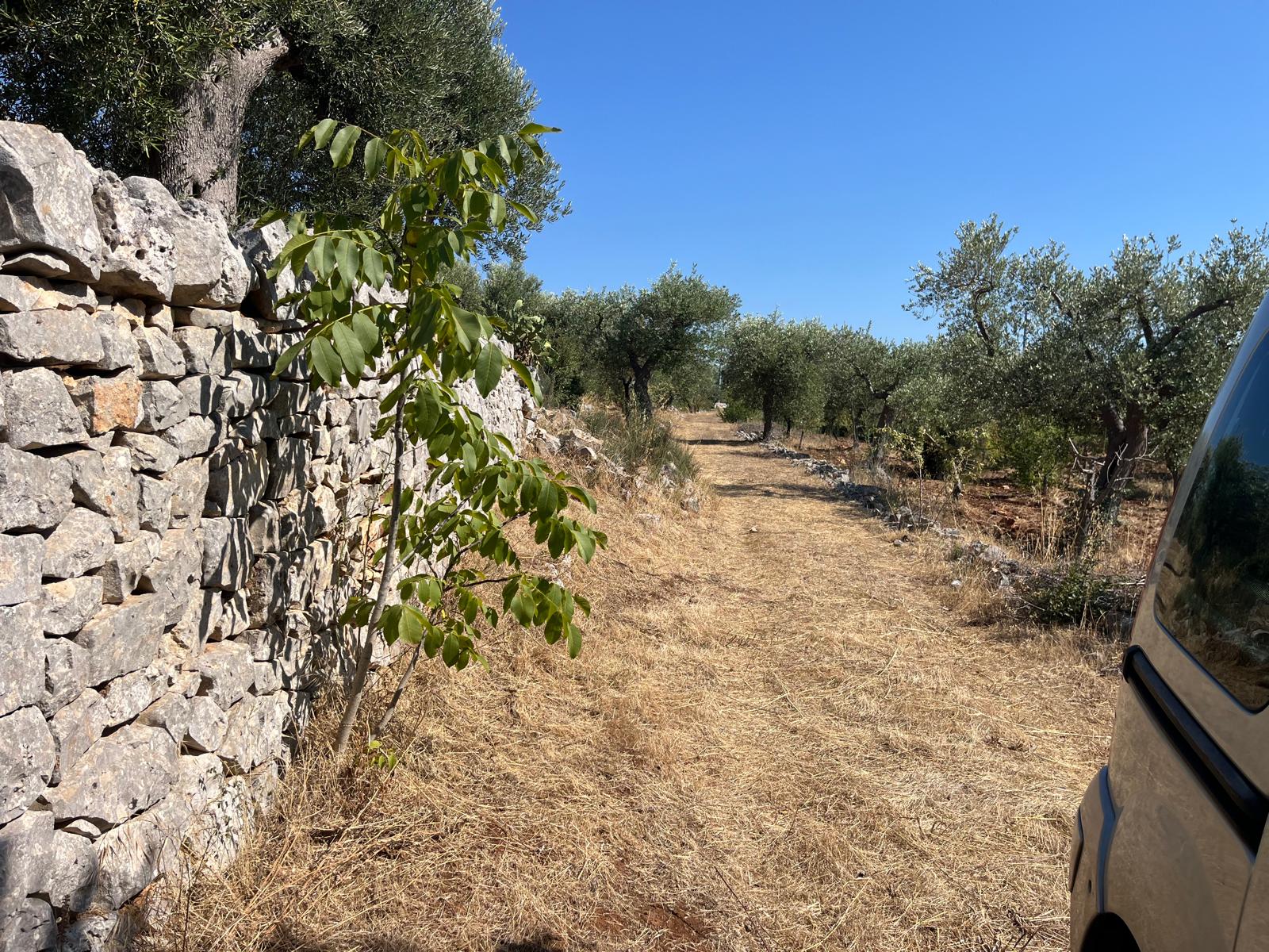 Trullo in vendita a Castellana Grotte