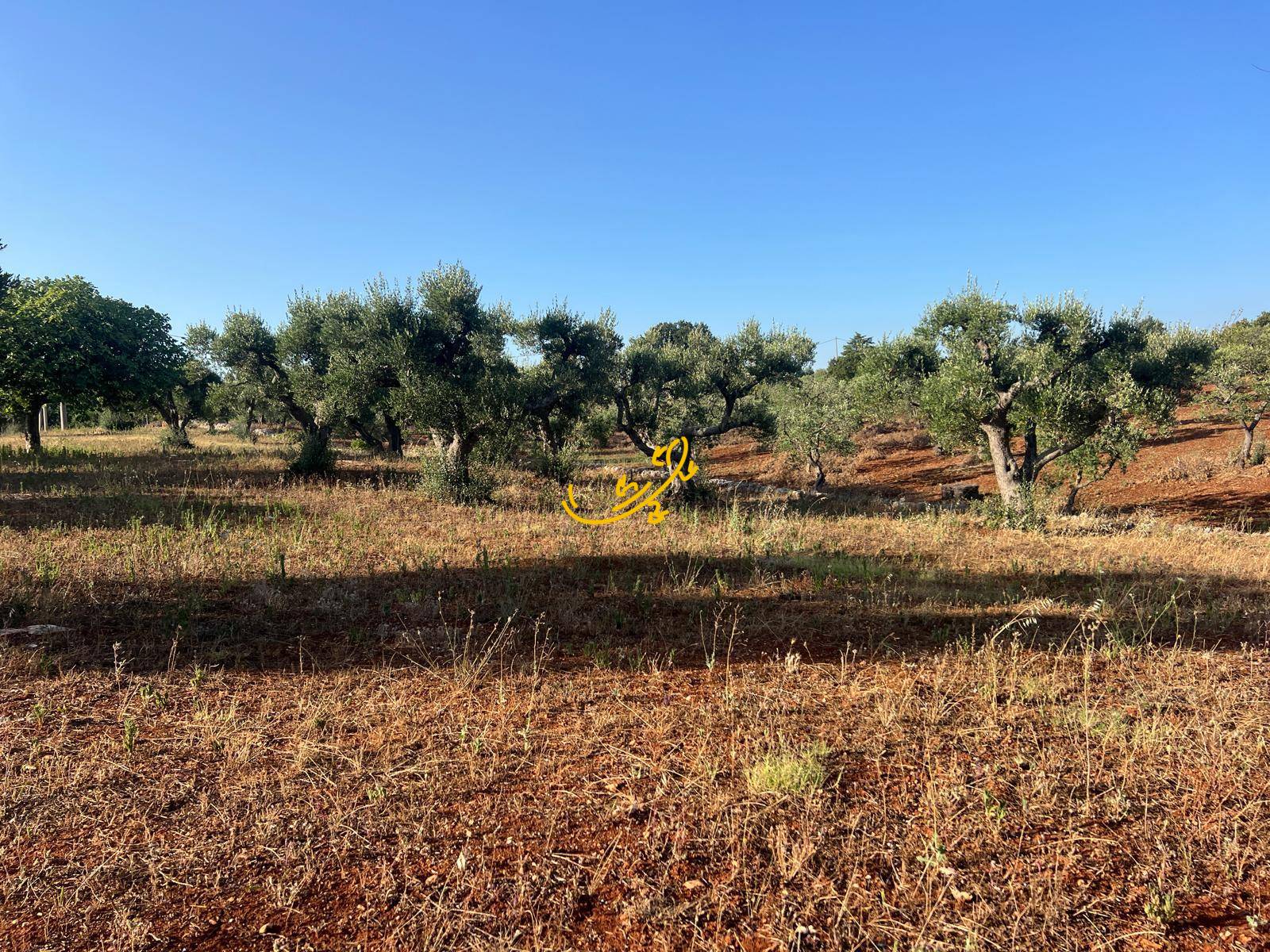 Trullo in vendita a Martina Franca