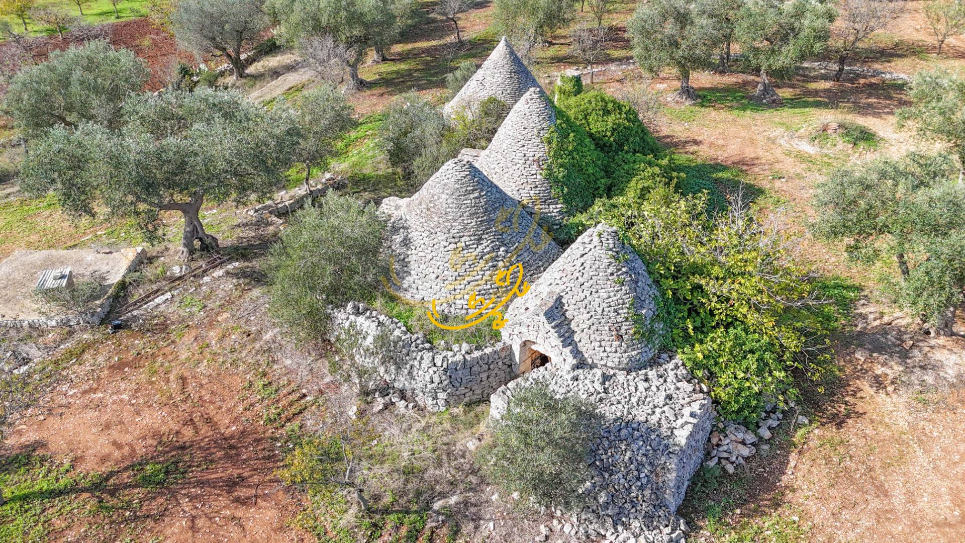 Trullo in vendita a Castellana Grotte
