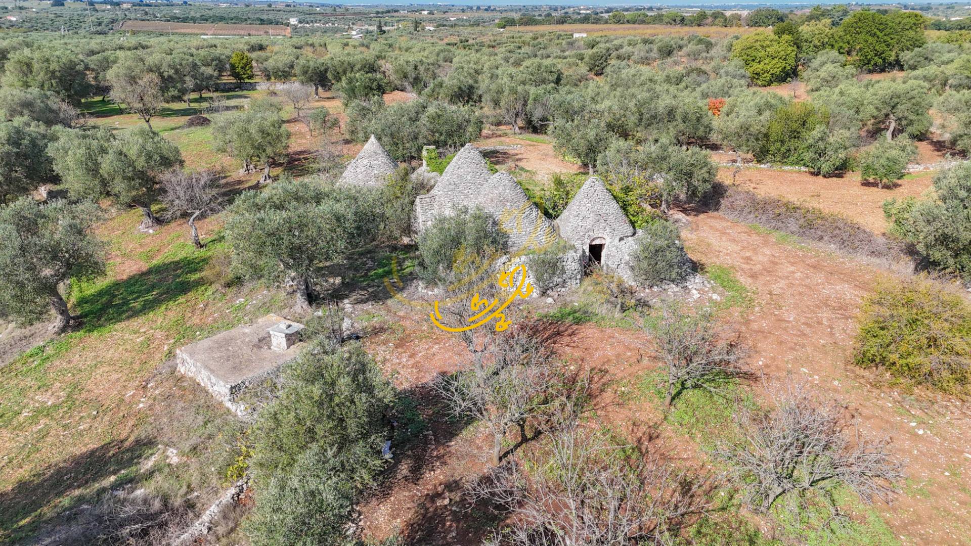 Trullo in vendita a Castellana Grotte