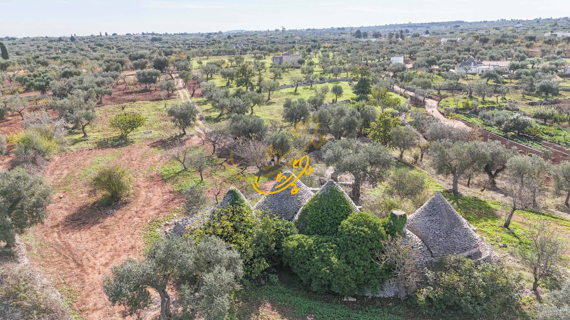 Trullo in vendita a Castellana Grotte