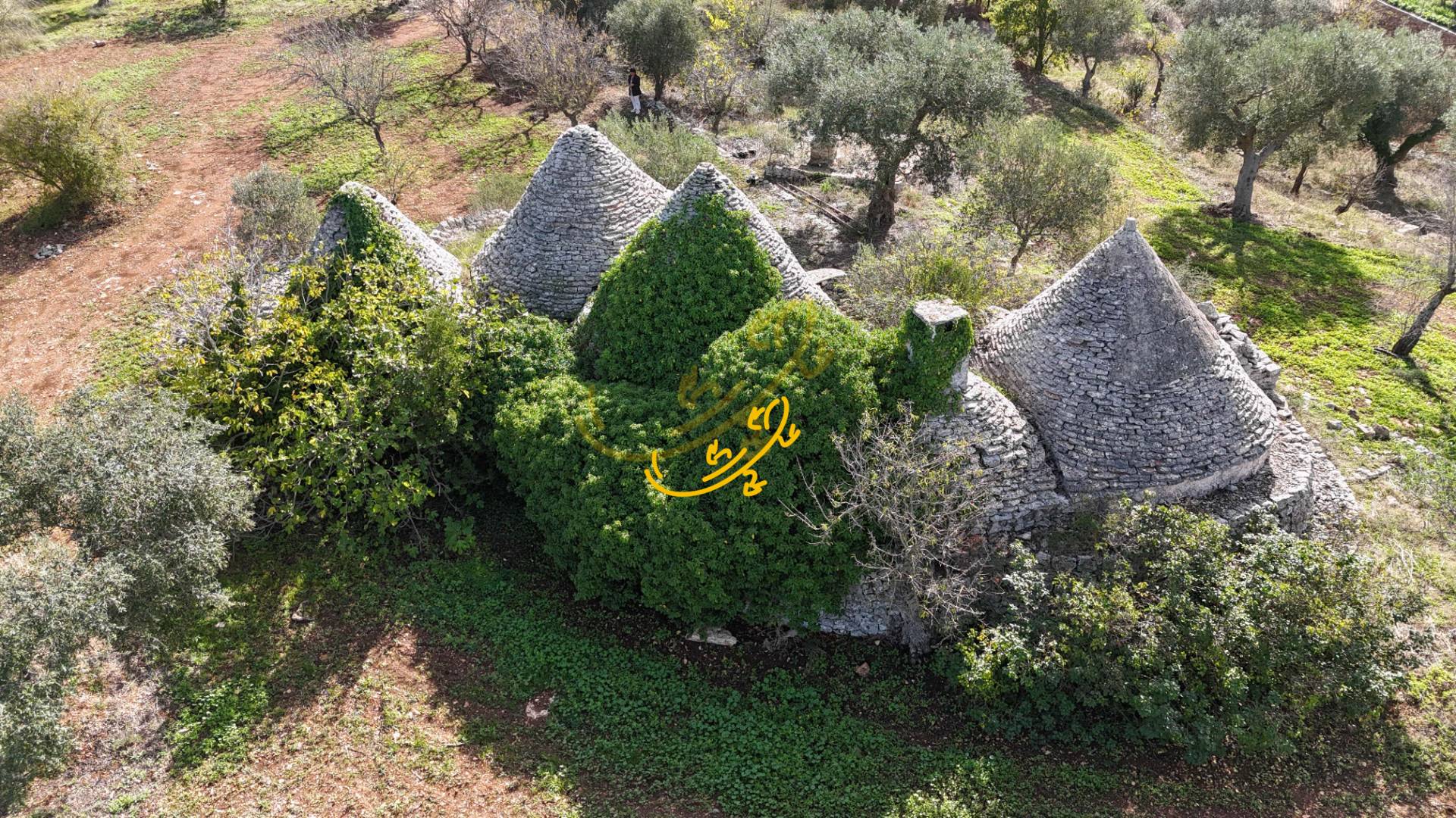 Trullo in vendita a Castellana Grotte