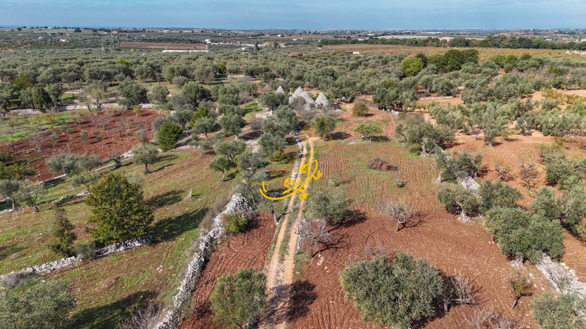 Trullo in vendita a Castellana Grotte