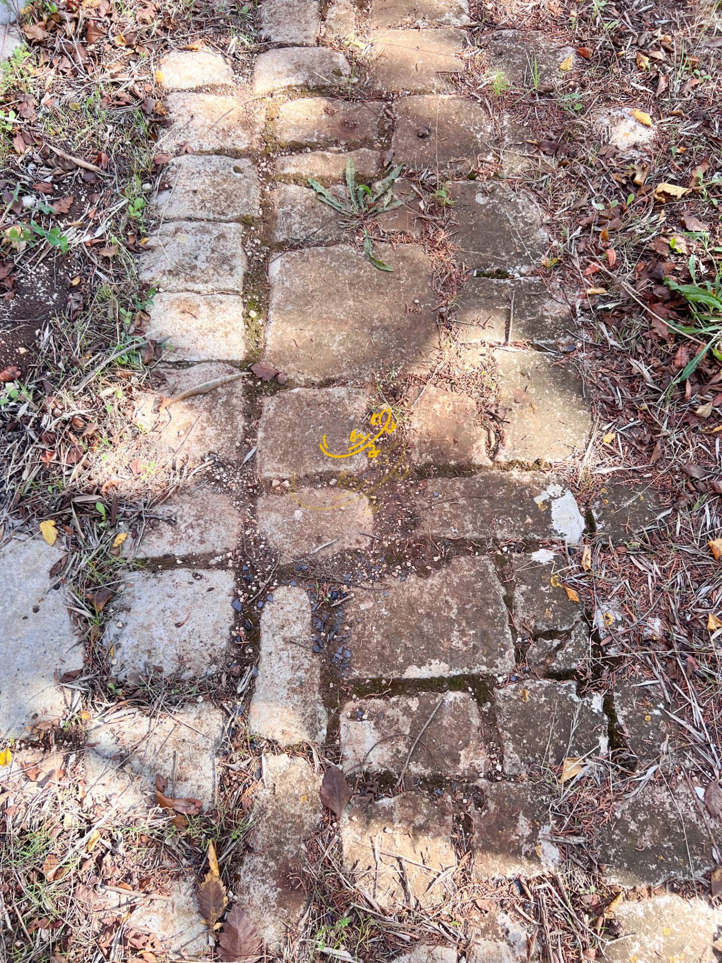 Rustico in vendita a Castellana Grotte