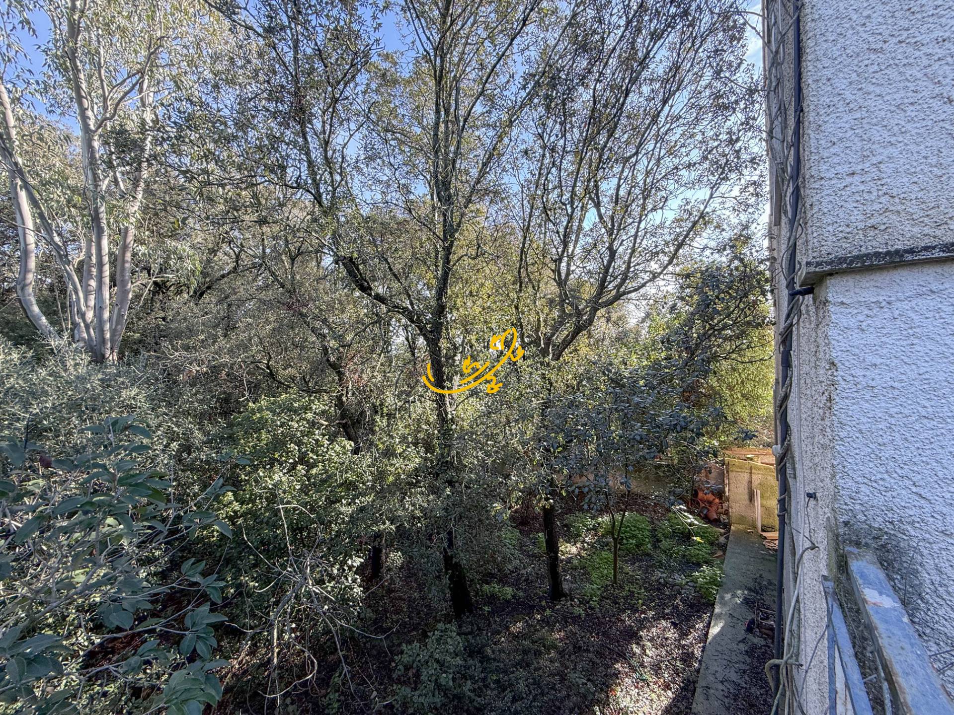 Villa in vendita a Monopoli