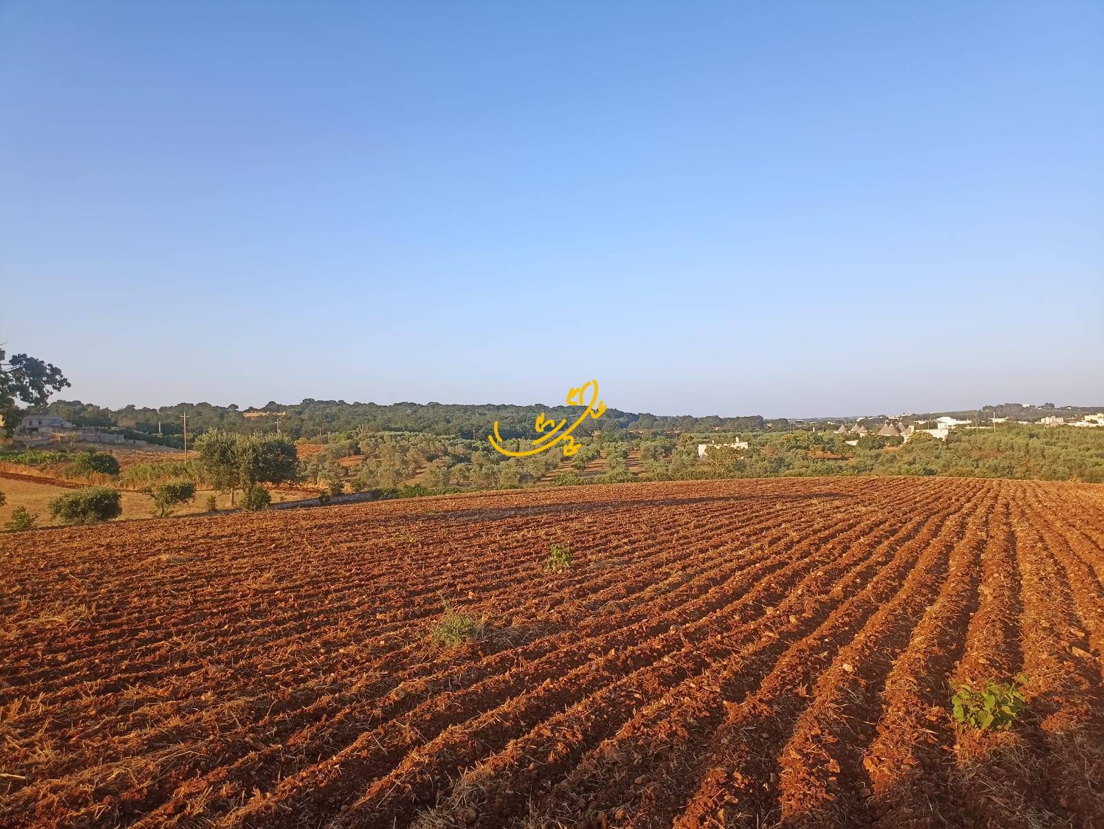 Trullo in vendita a Martina Franca