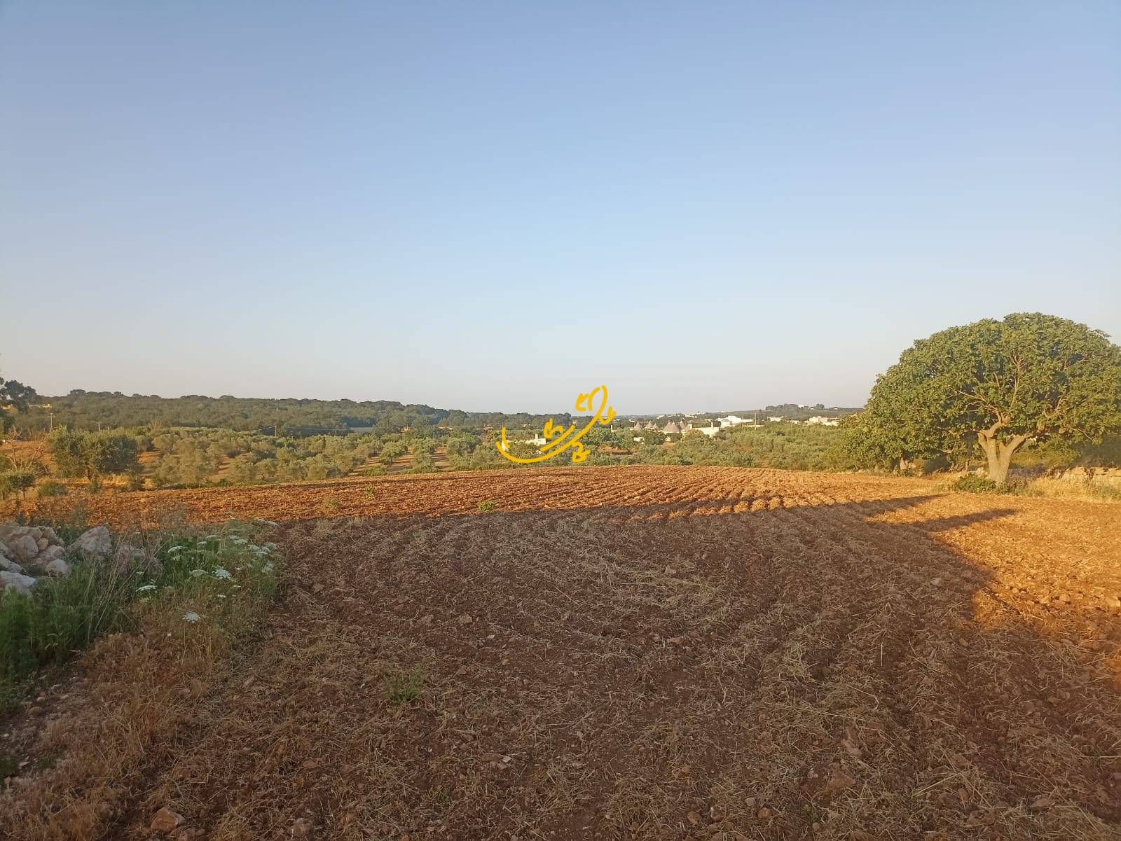 Trullo in vendita a Martina Franca