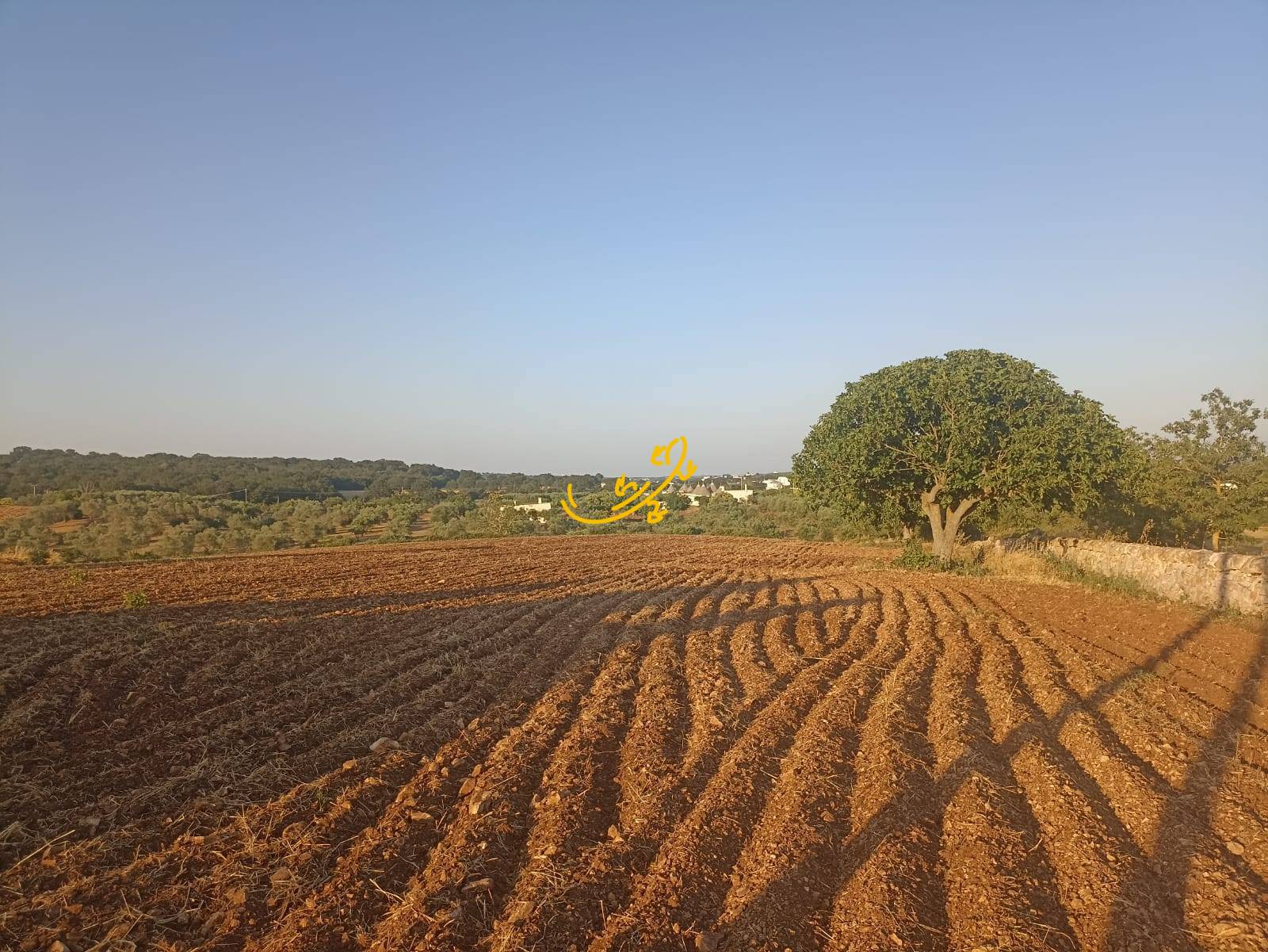 Trullo in vendita a Martina Franca