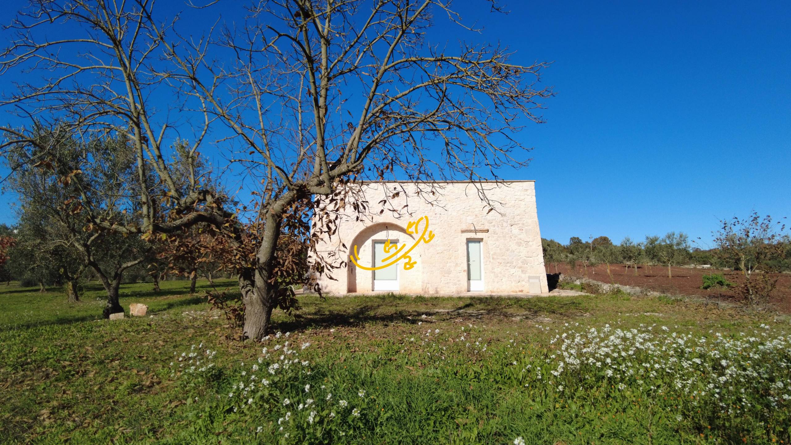 Rustico in vendita a Martina Franca